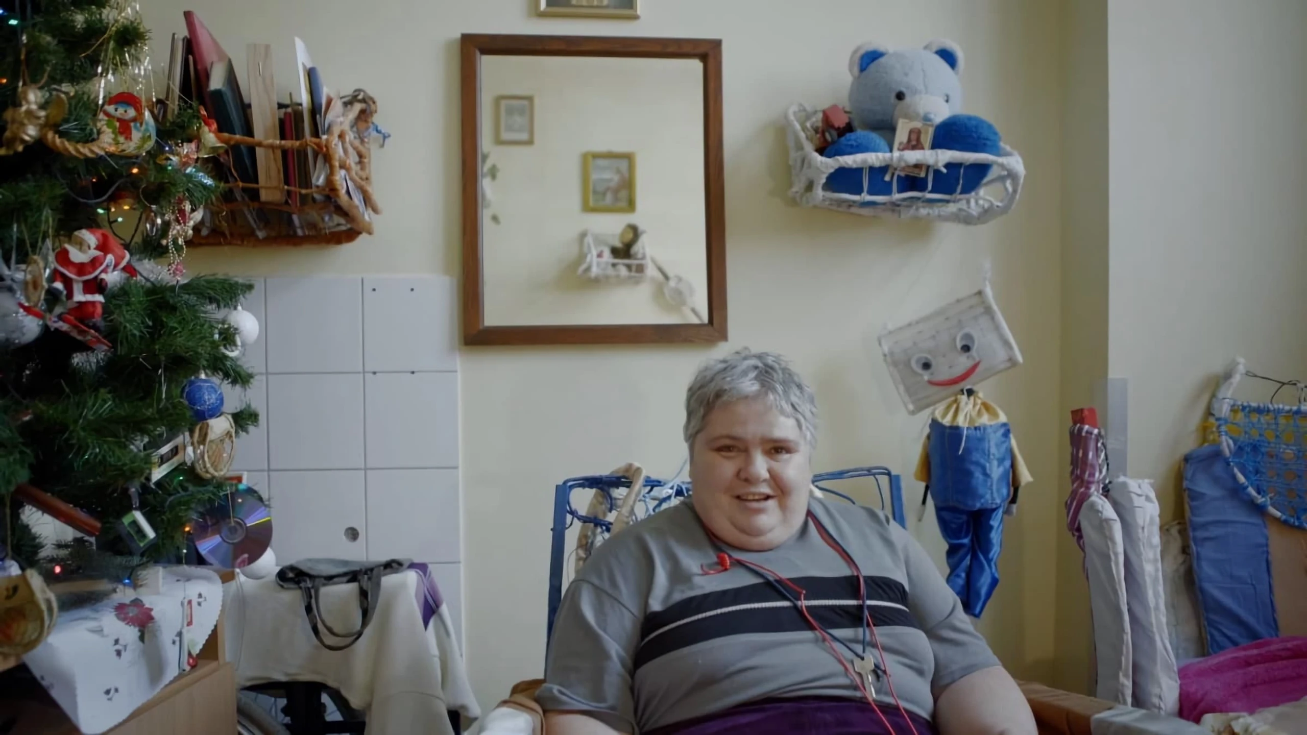 Koniki na biegunach