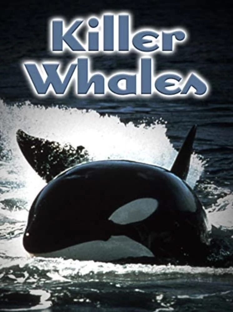 Killer Whales- Up Close and Personal
