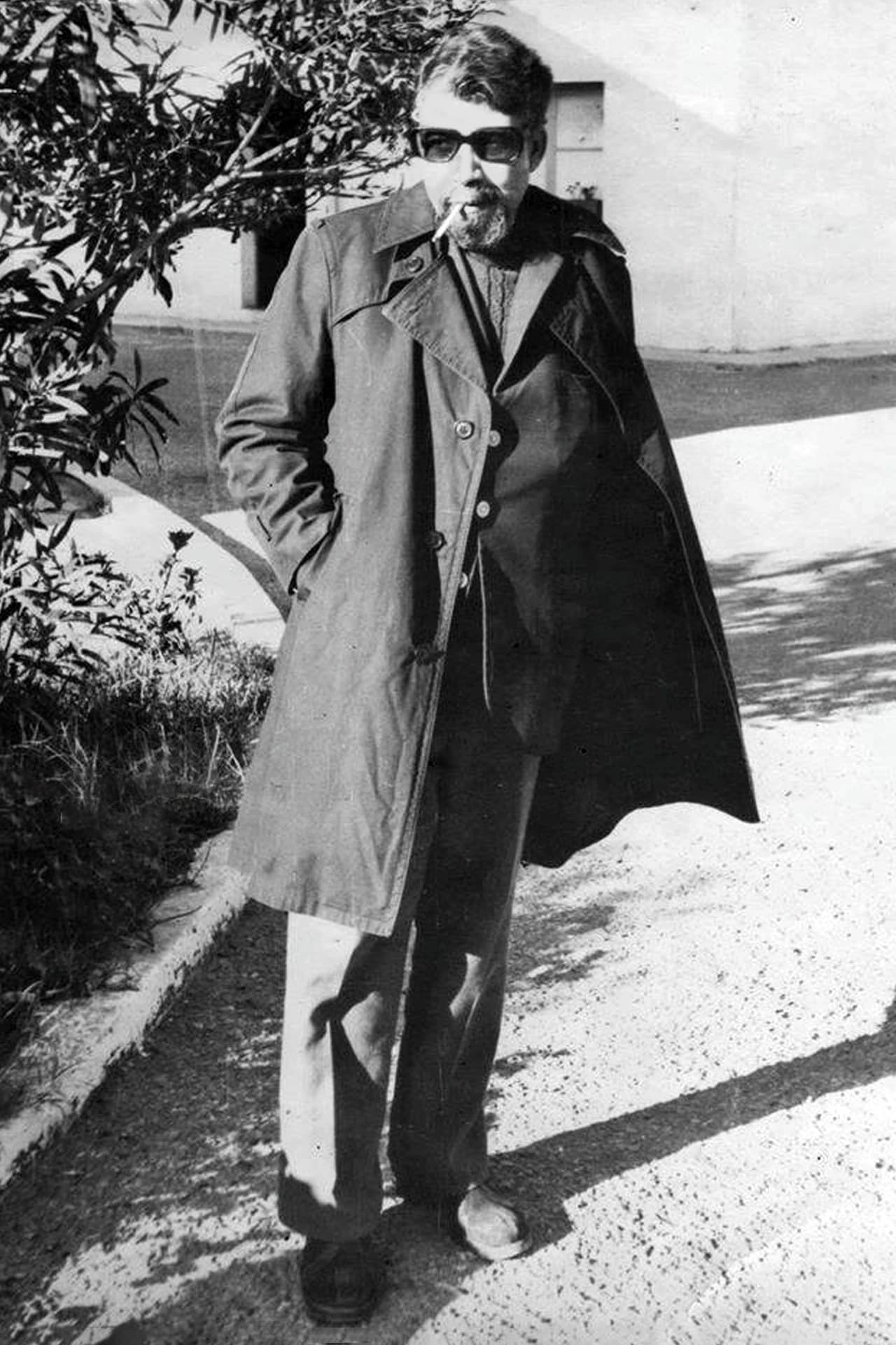 Foto von Allel Bachali