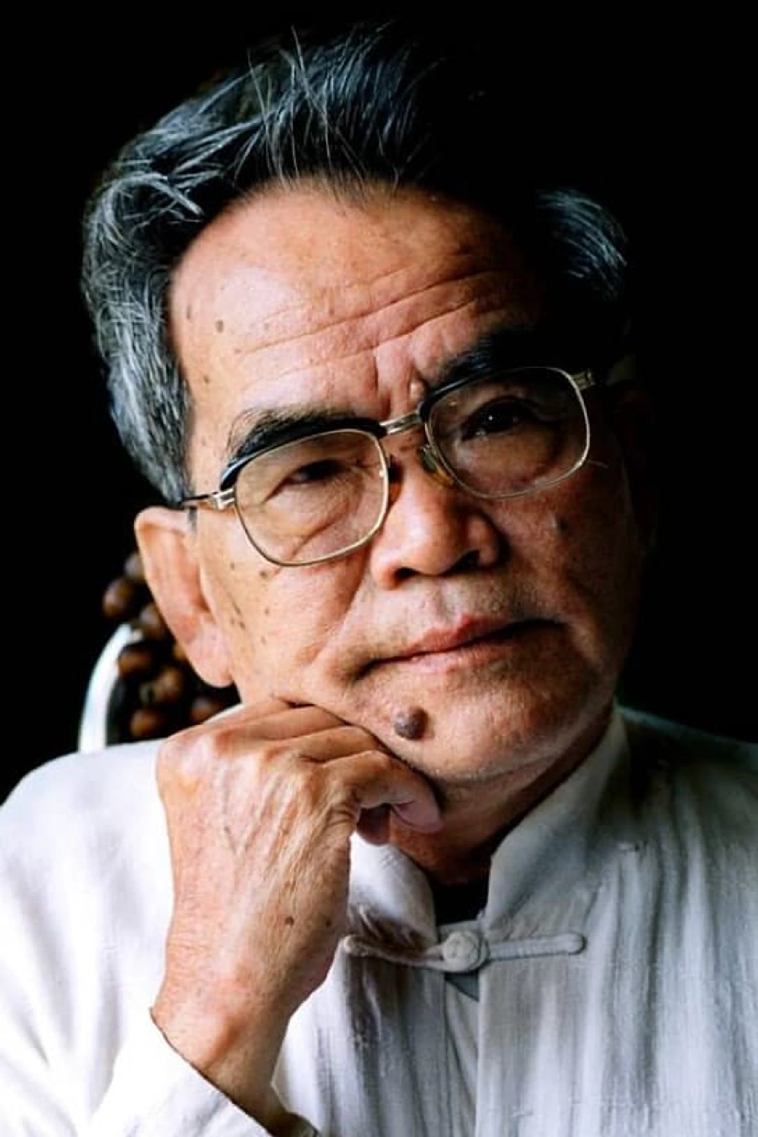 Foto von Hoàng Phủ Ngọc Tường