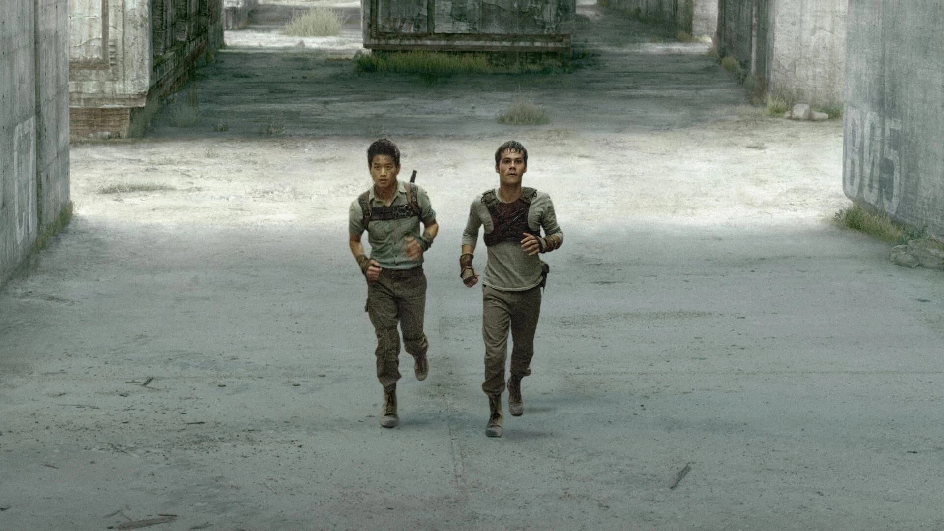 Maze Runner - Die Auserwählten im Labyrinth