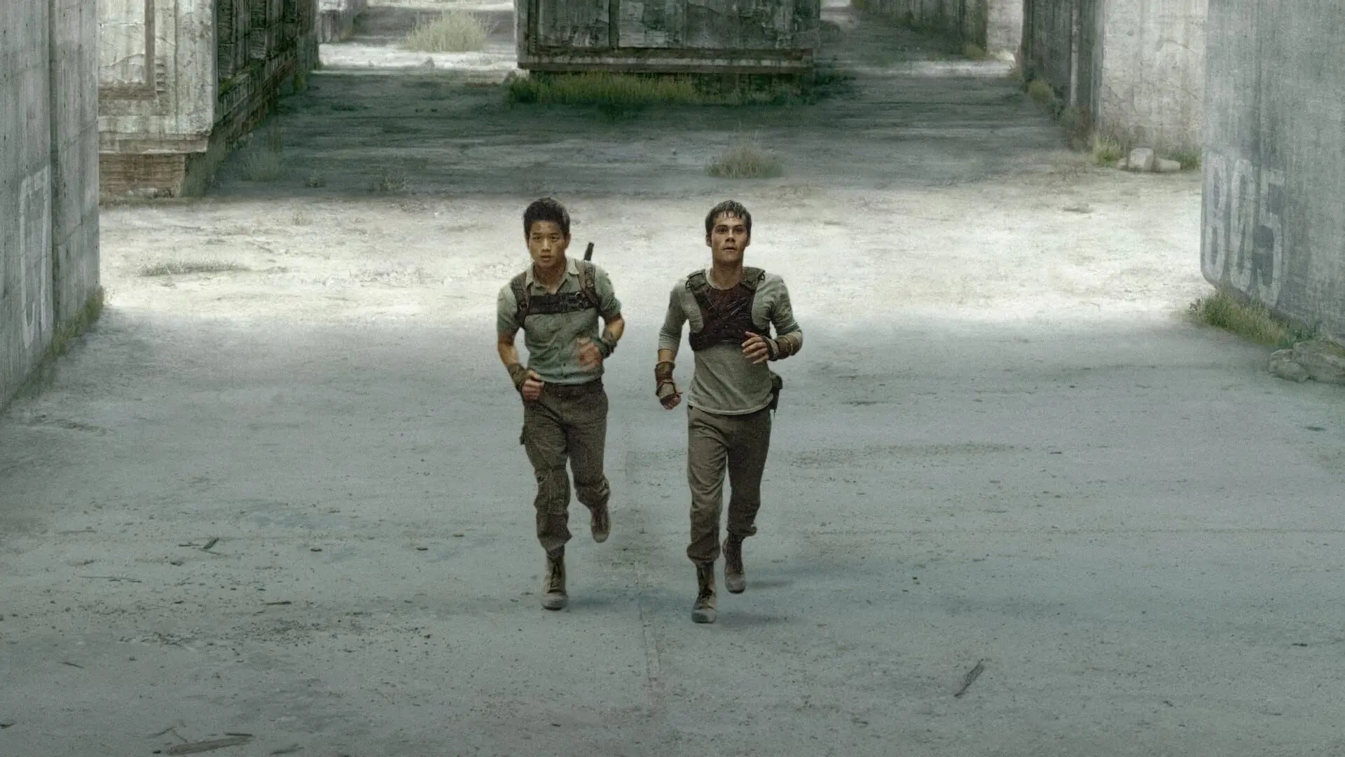 Maze Runner - Die Auserwählten im Labyrinth