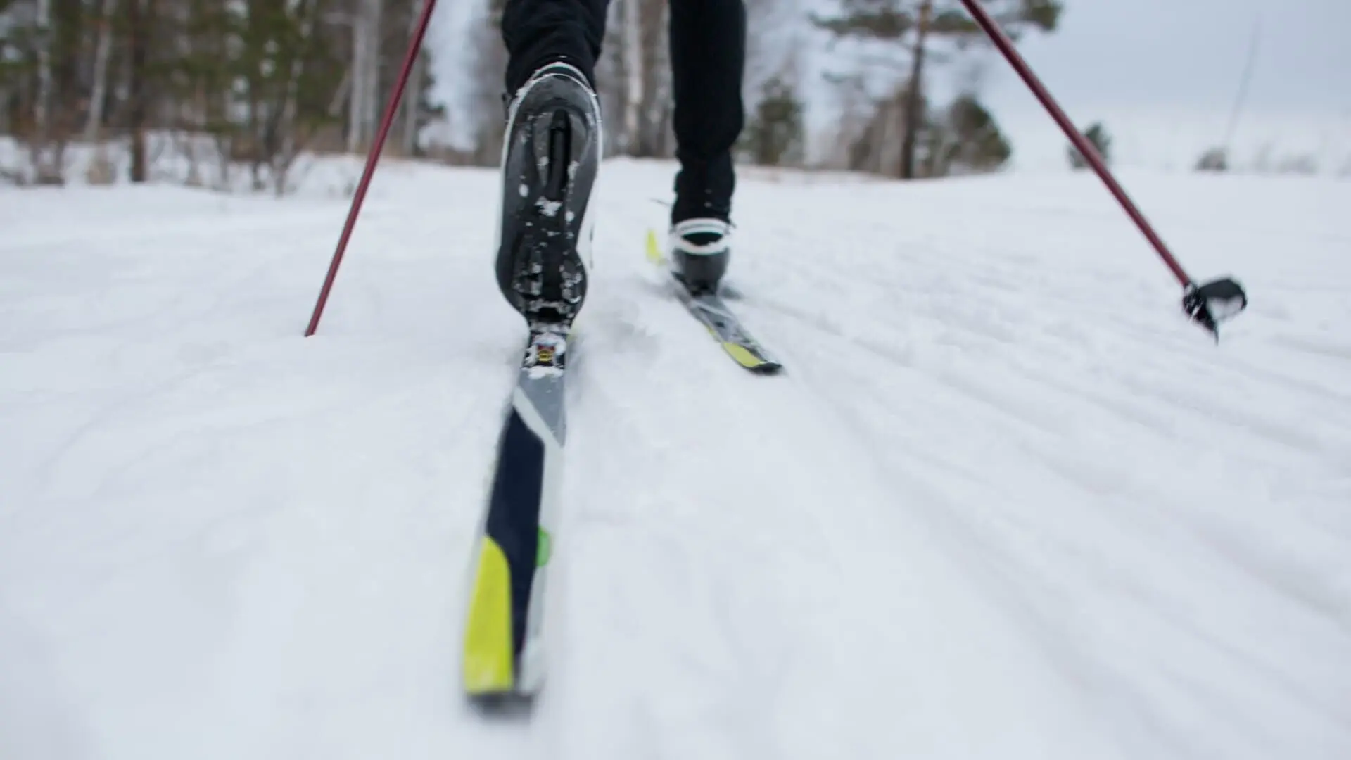 FIS Langlauf Weltcup Val di Fiemme