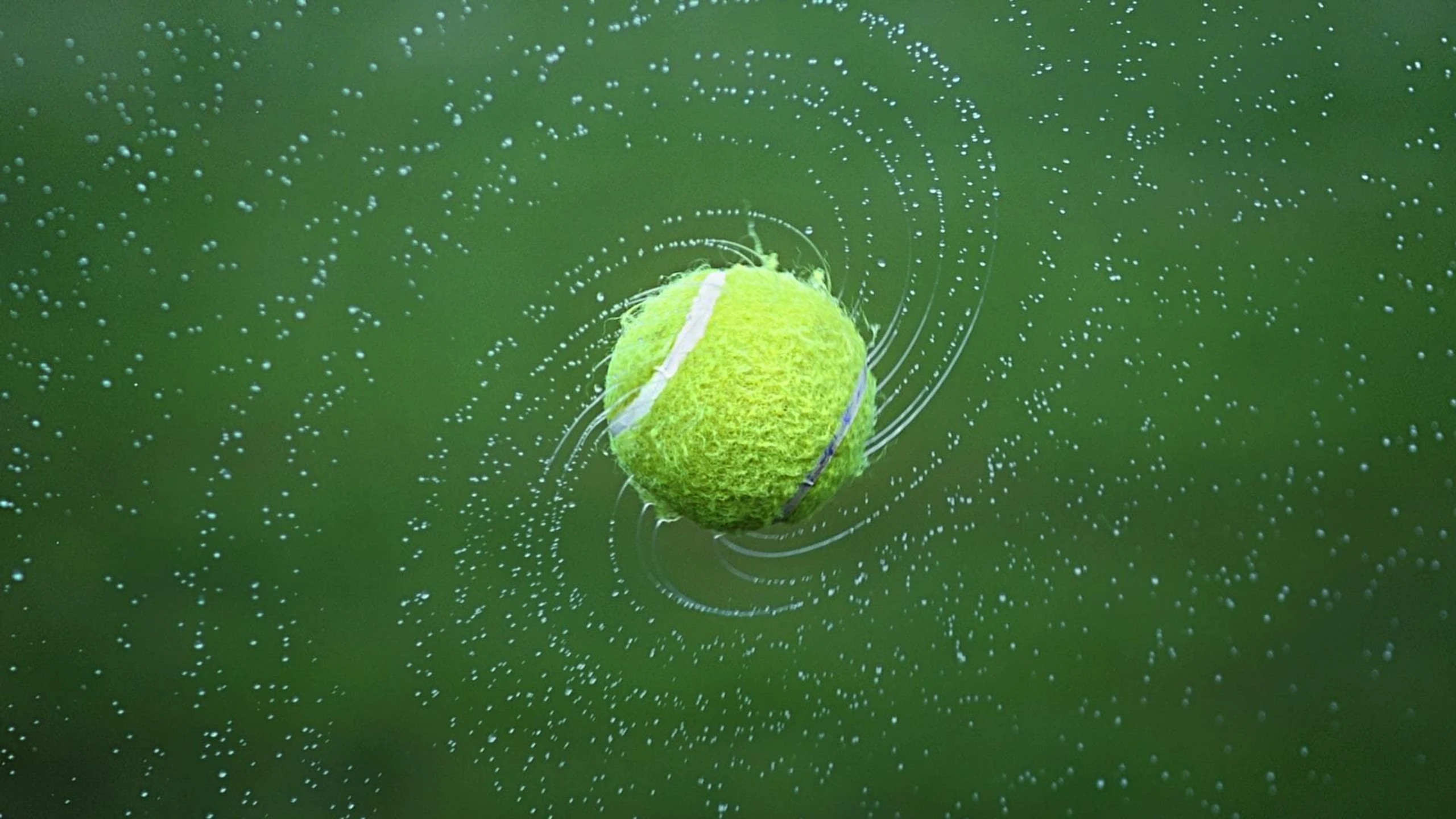 Tennis: ATP 250