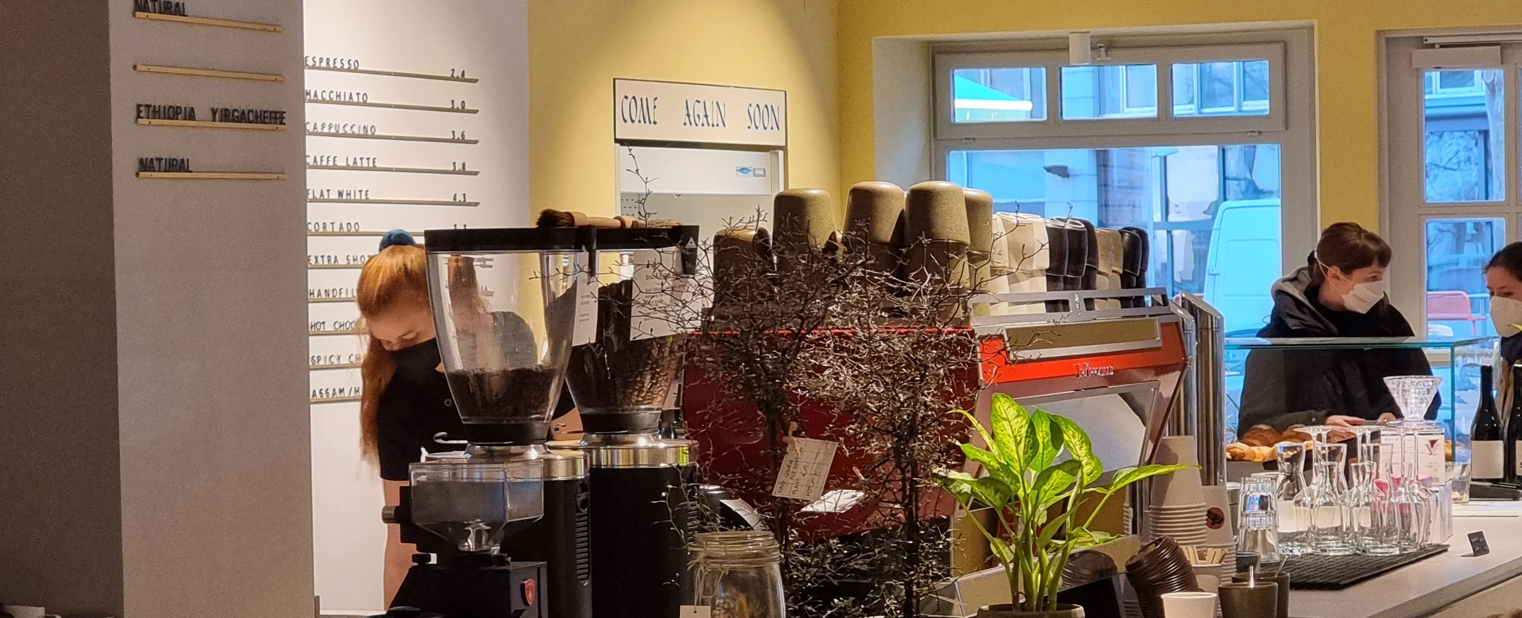 © Goldener Papagei