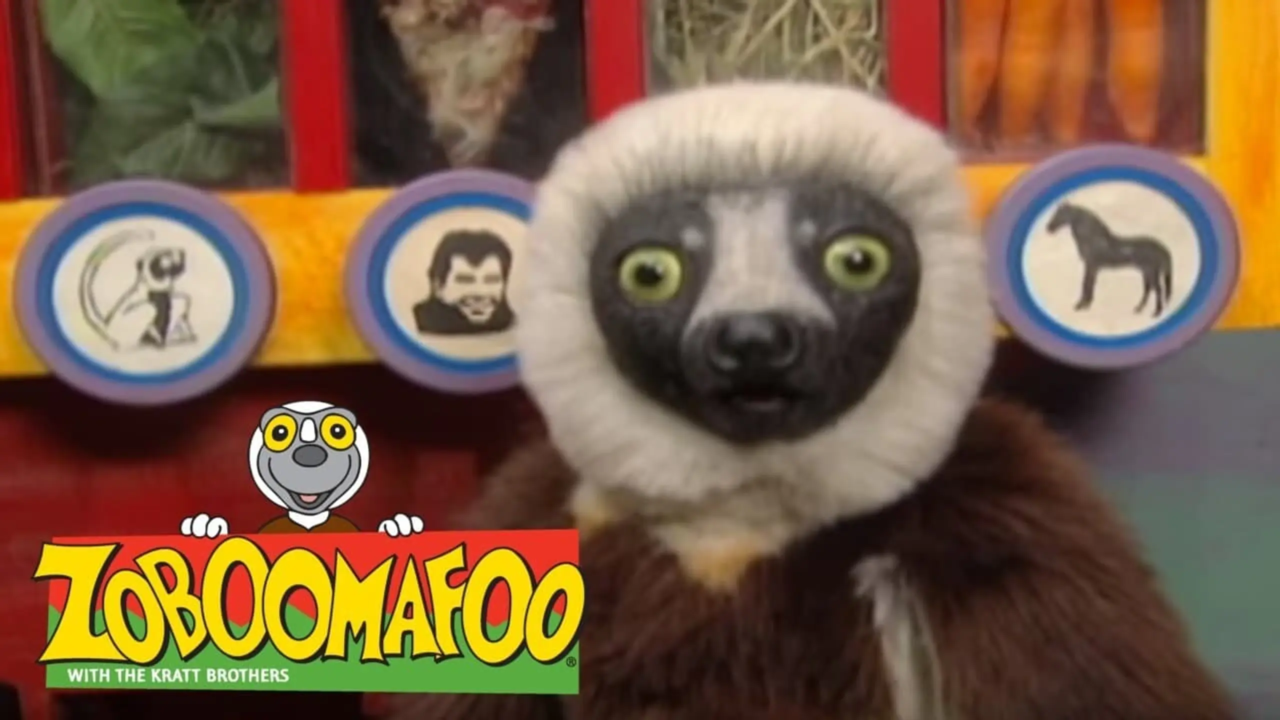 Zoboomafoo