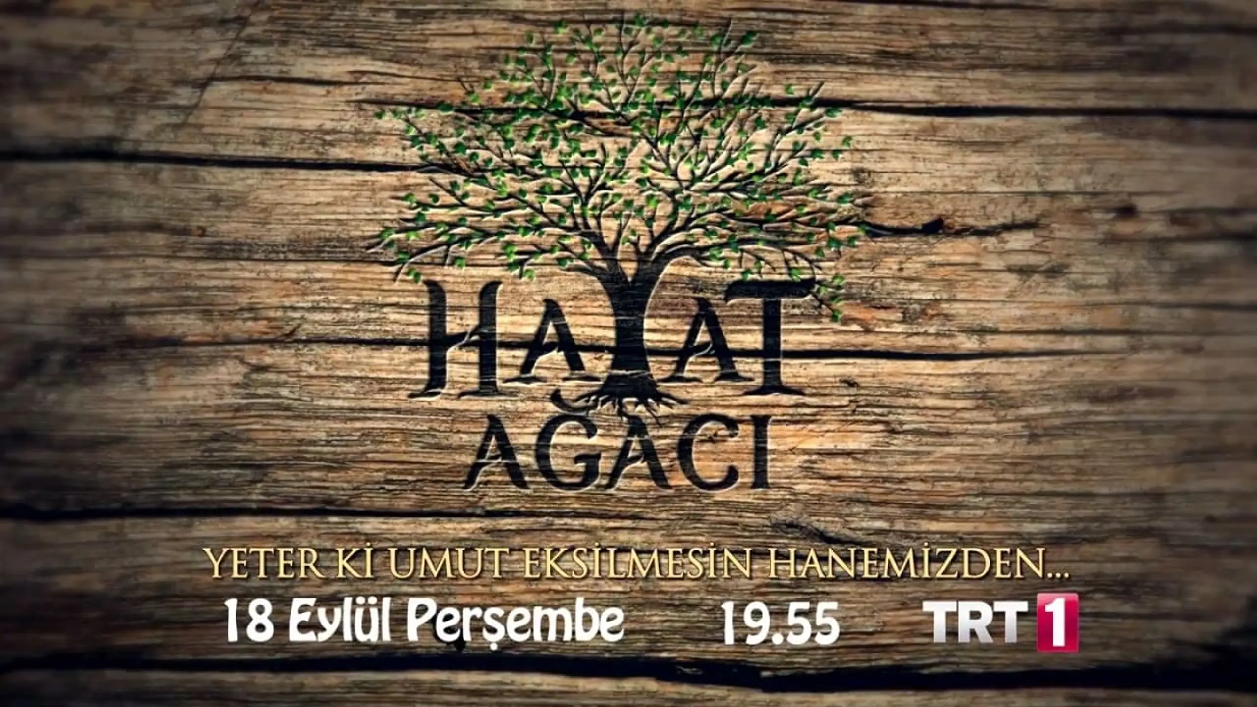 Hayat Ağacı