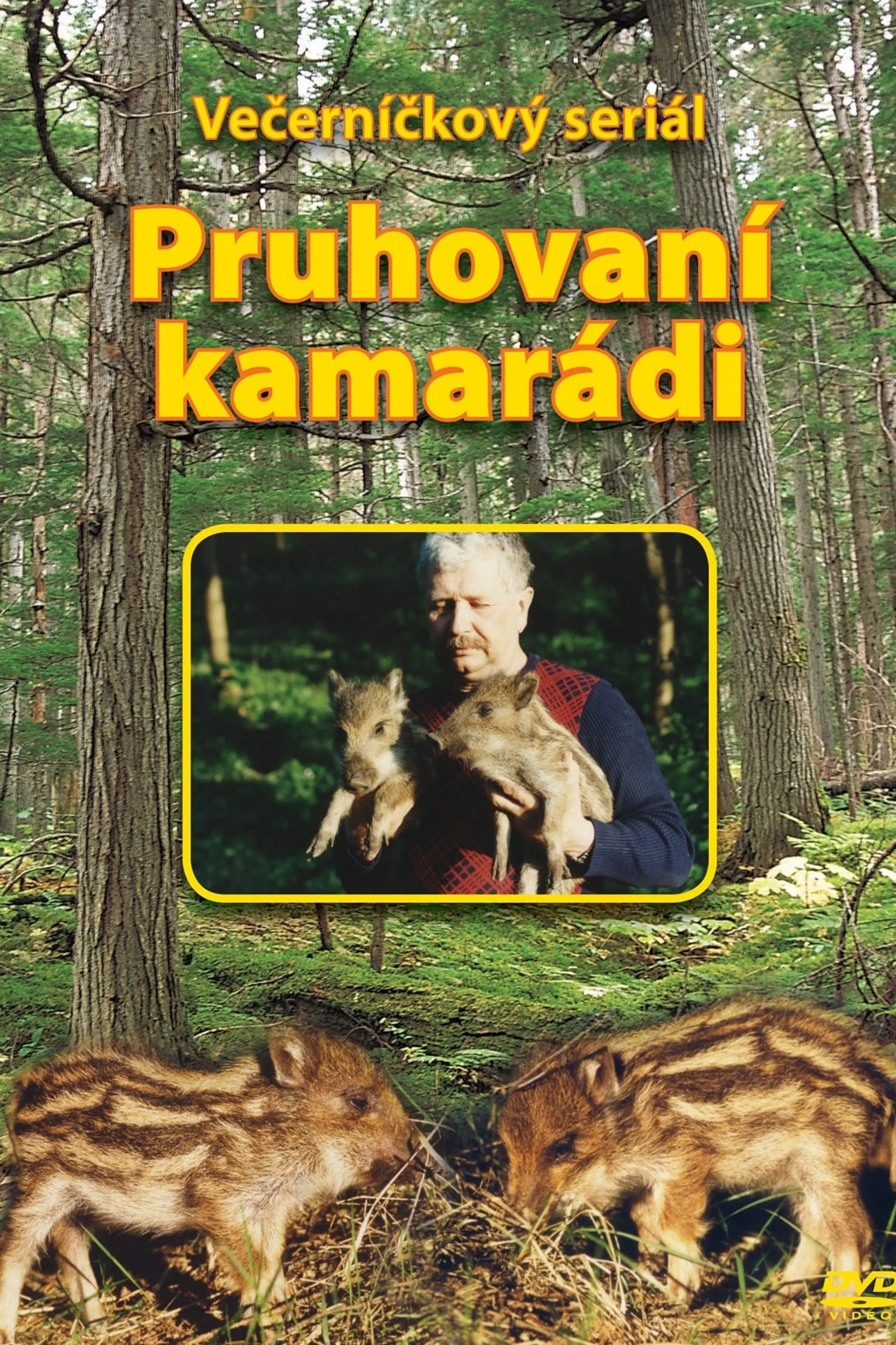 Pruhovaní kamarádi