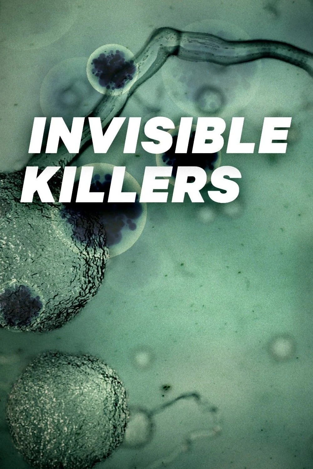 VIRUS - Unsichtbare Killer