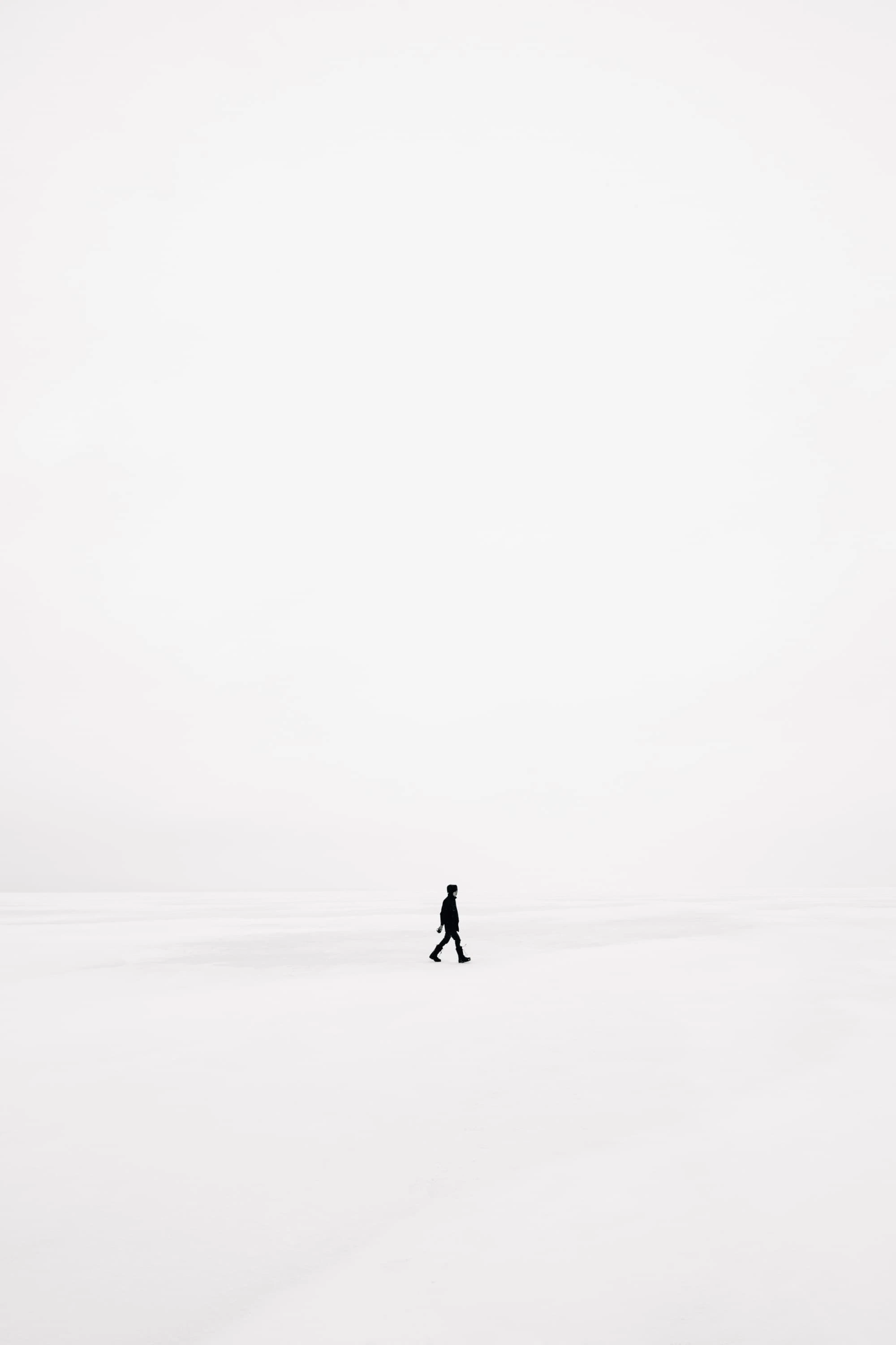 დეტექტივები