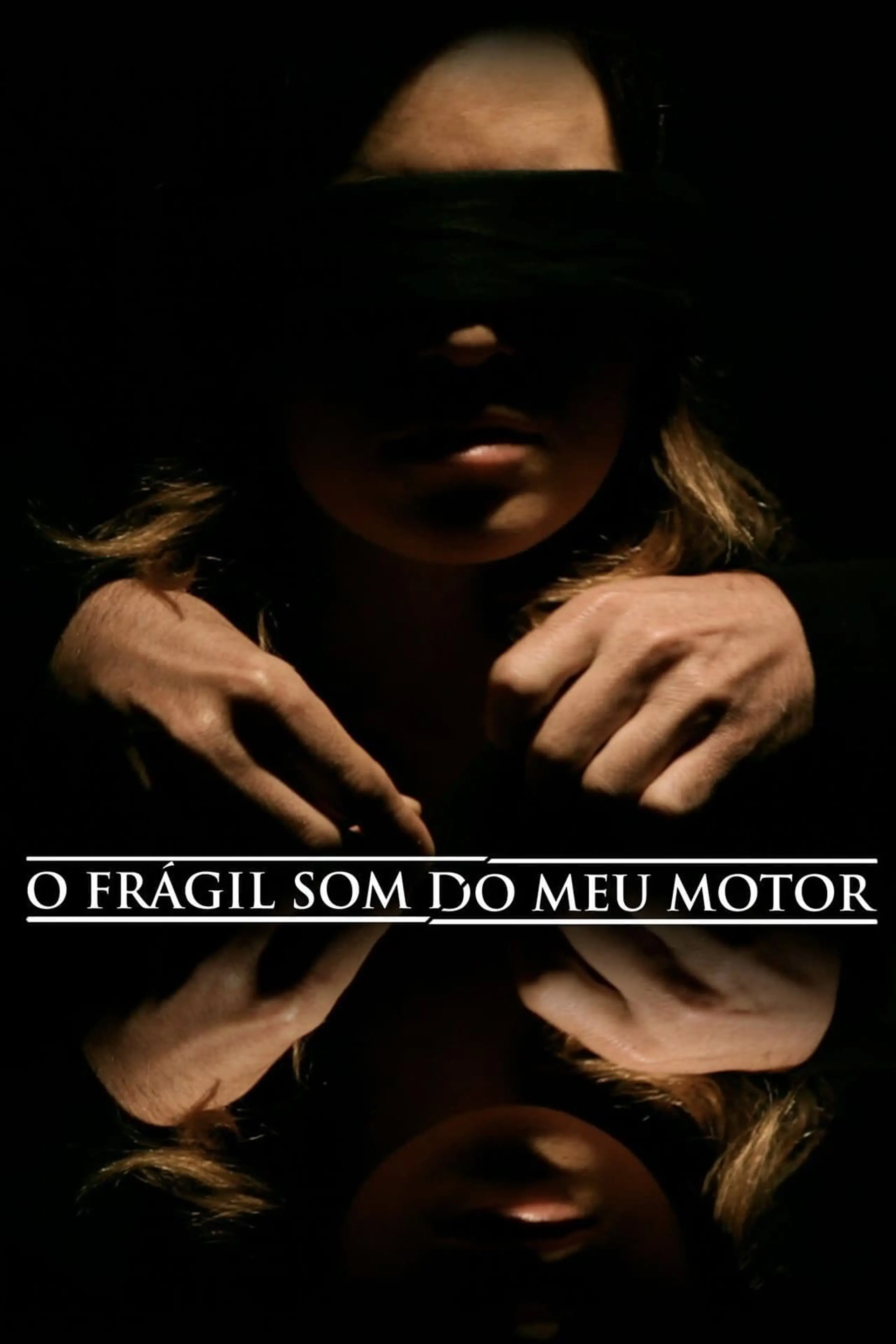 O Frágil Som do Meu Motor