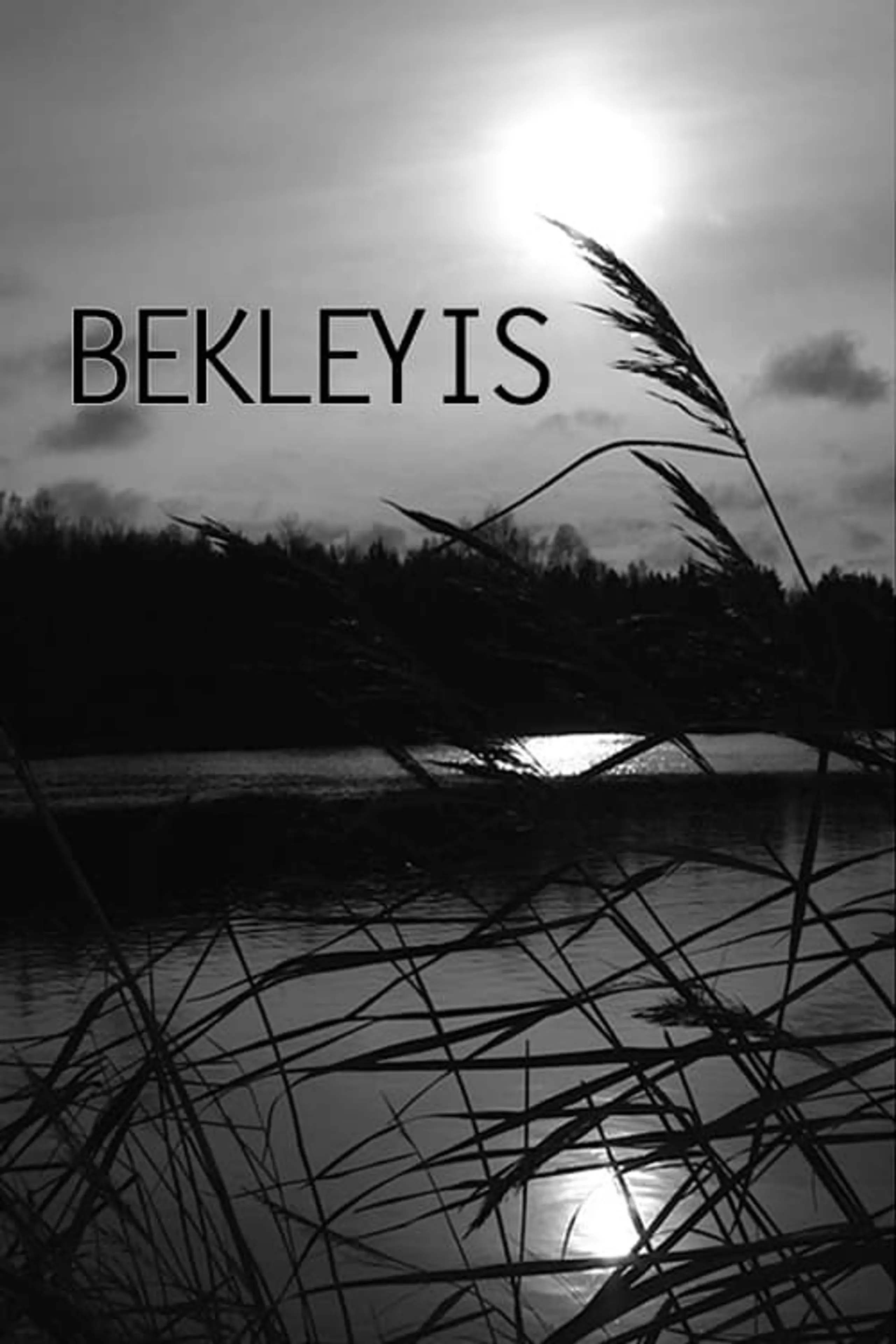 Bekleyis