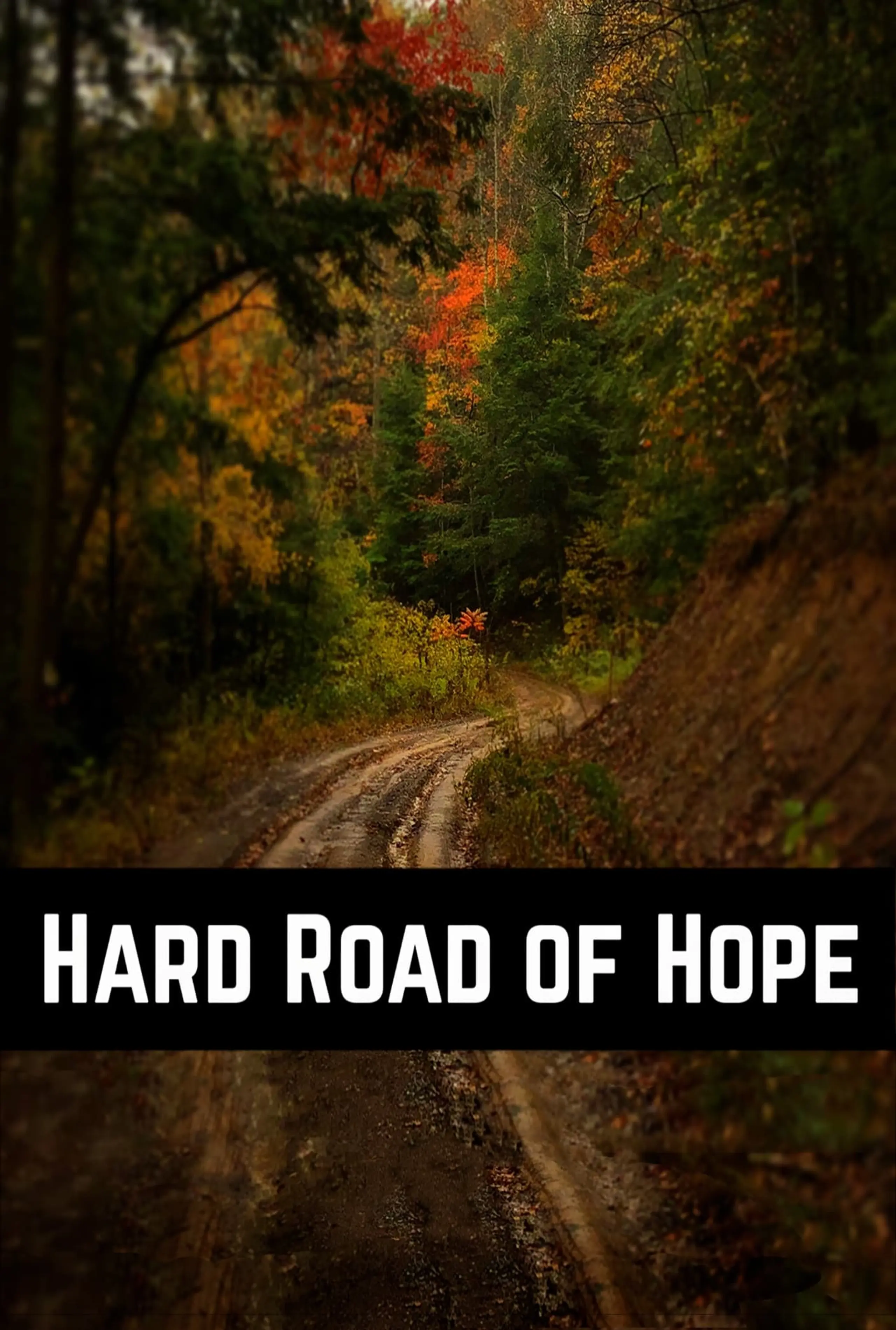 Hard Road of Hope