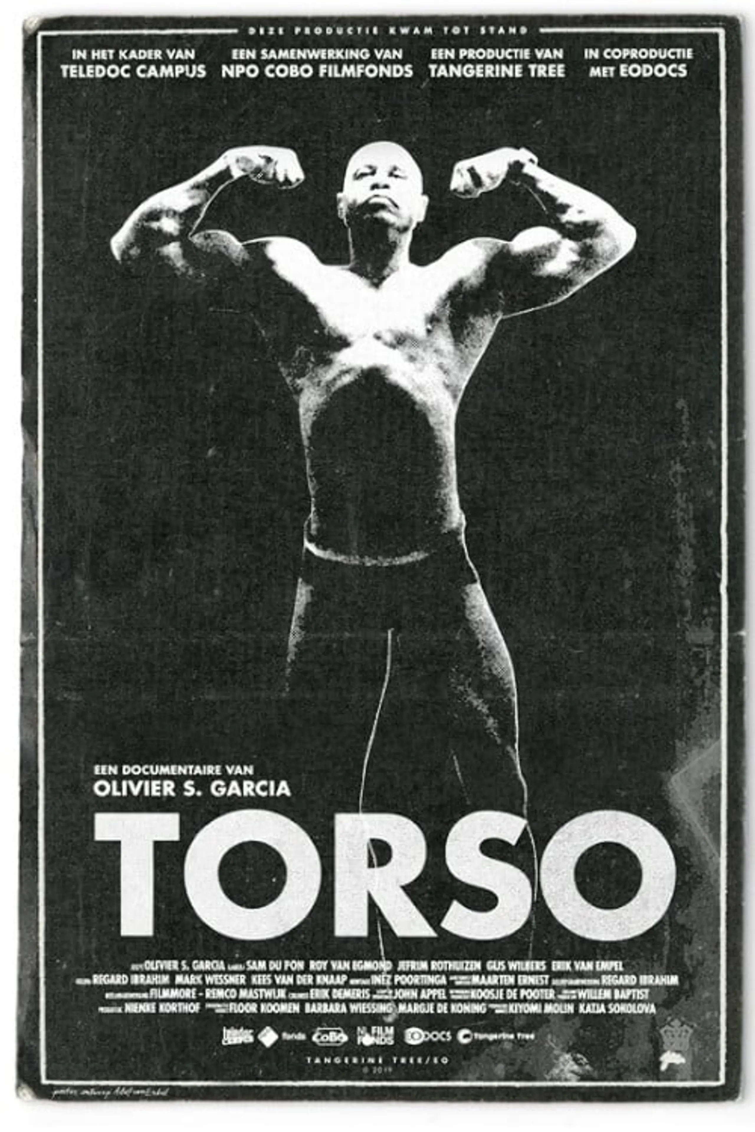 Torso