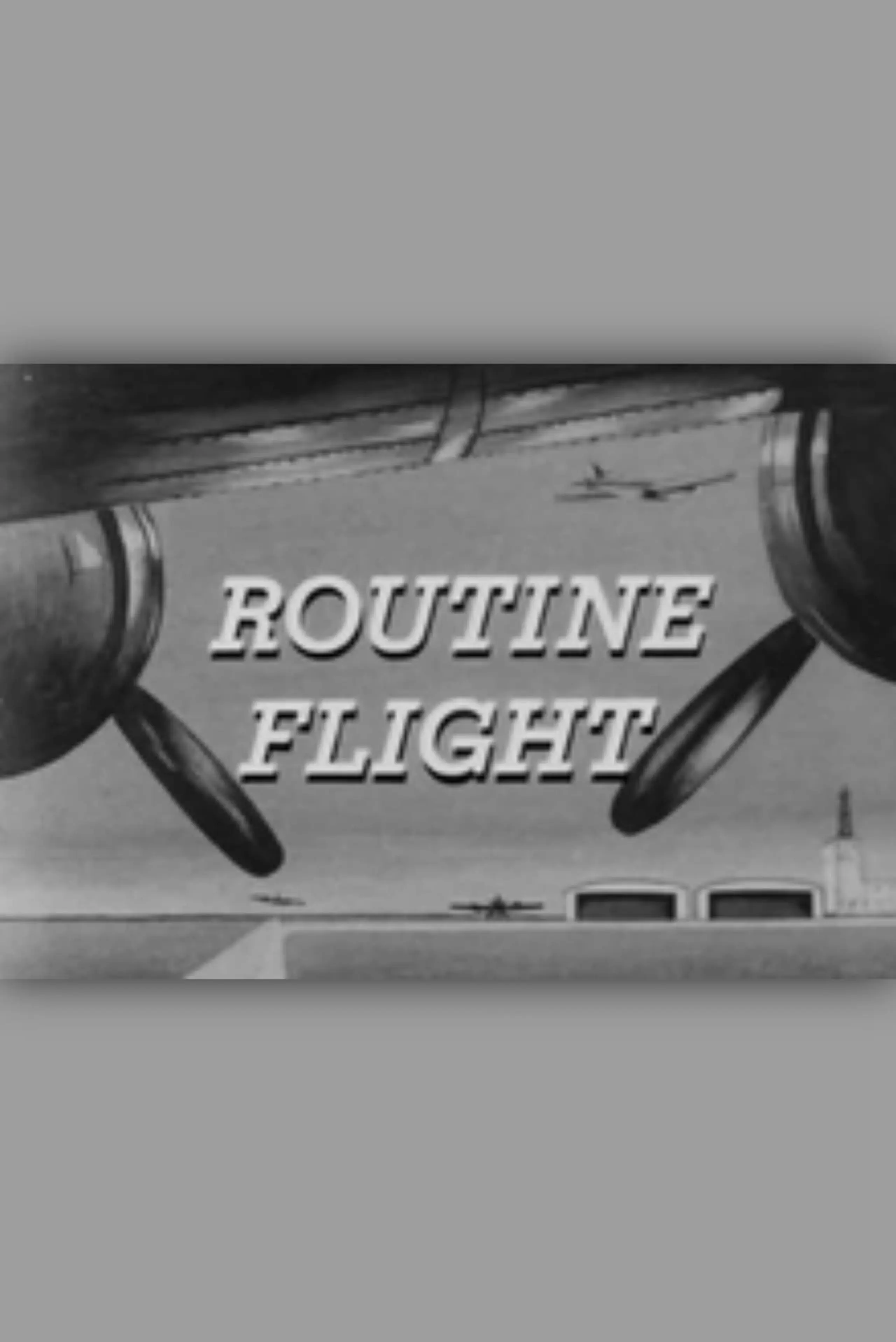 Routine Flight