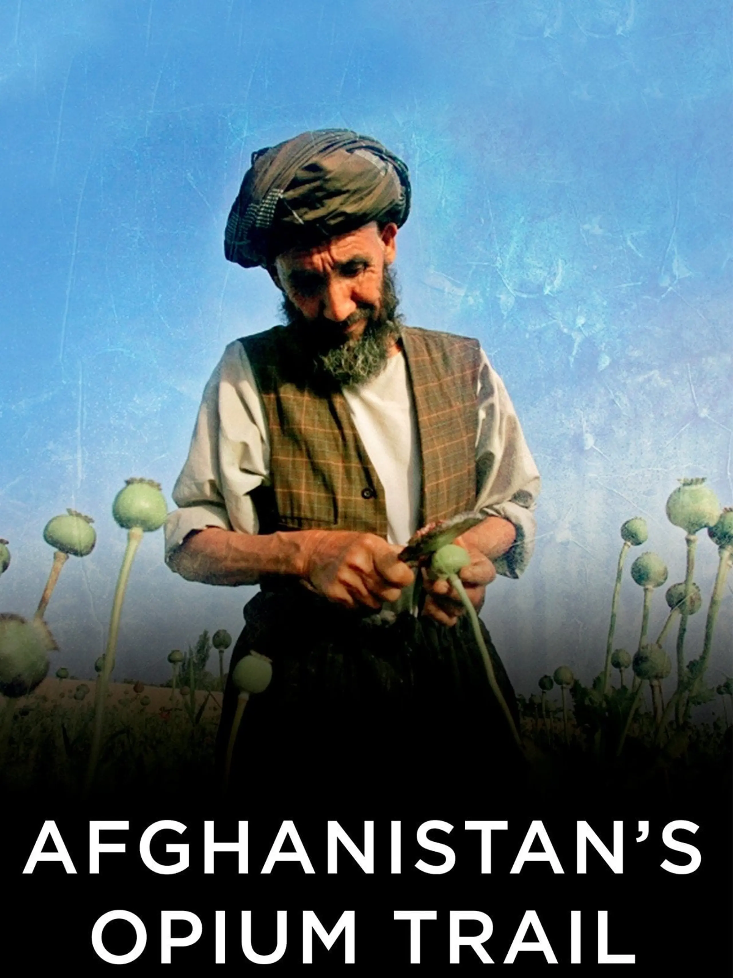 Afghanistan's Opium Trail