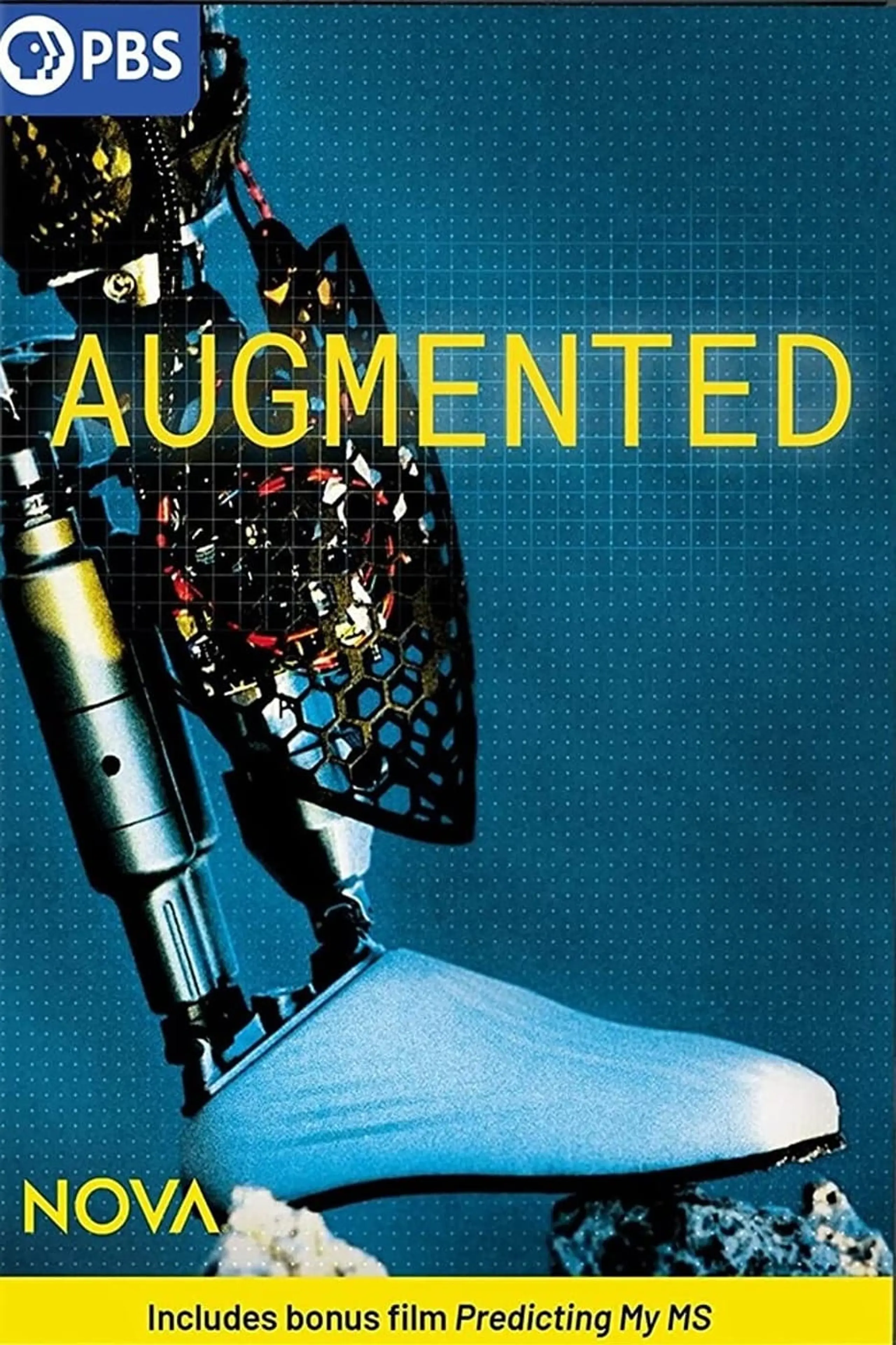 Augmented