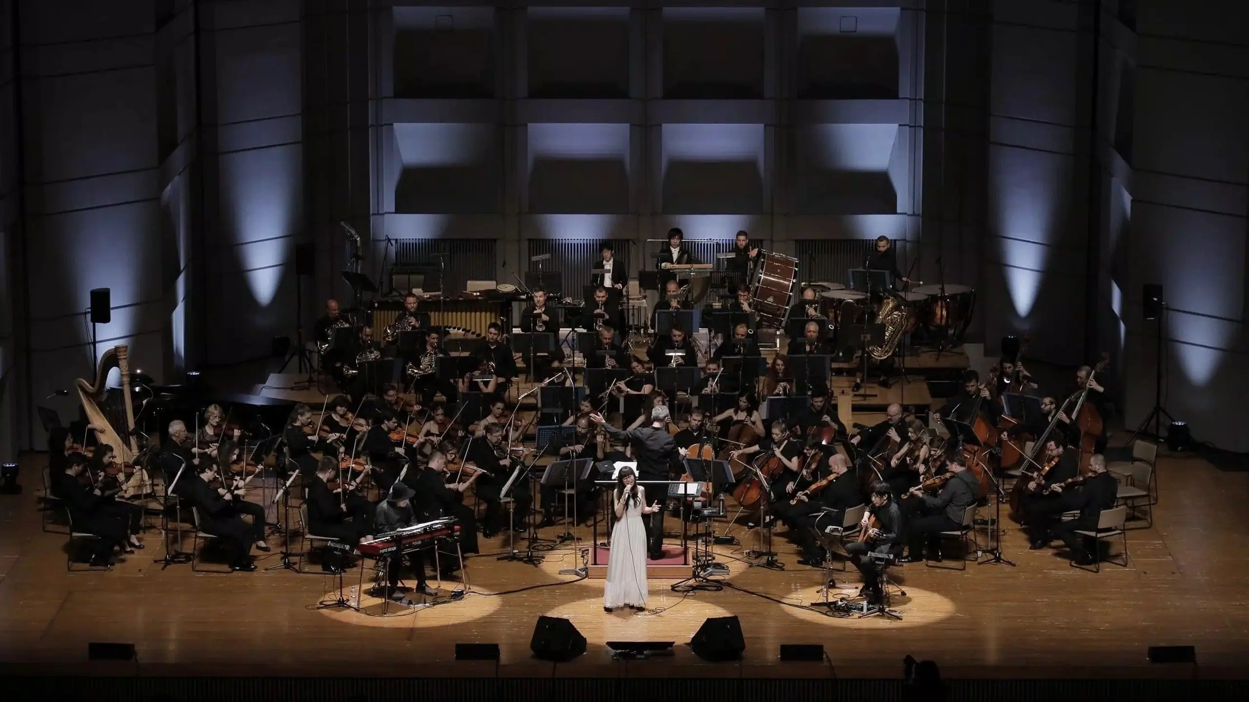 Aimer Special Concert With Slovak Radio Symphony Orchestra 'aria Strings'