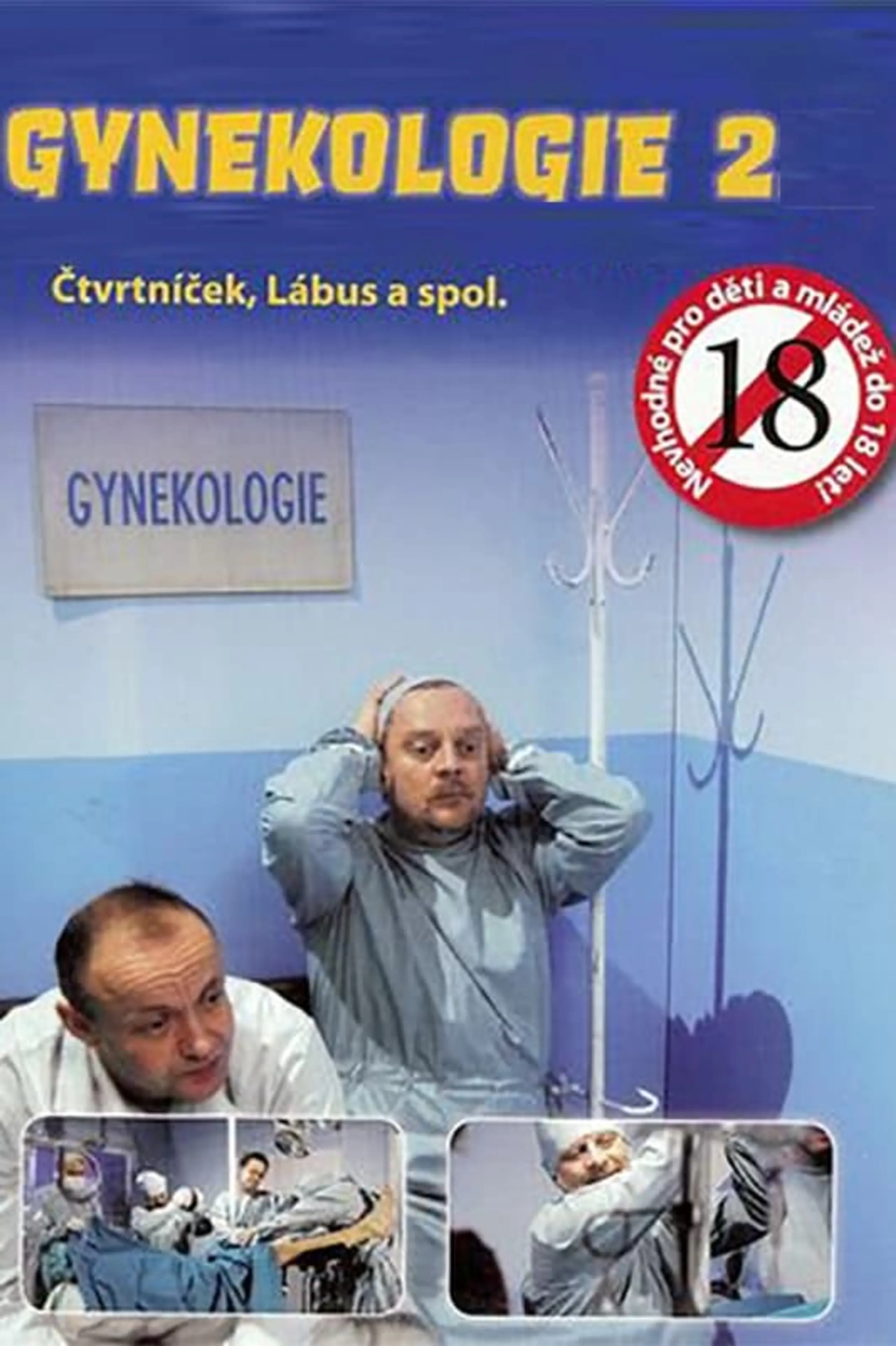 Gynekologie 2