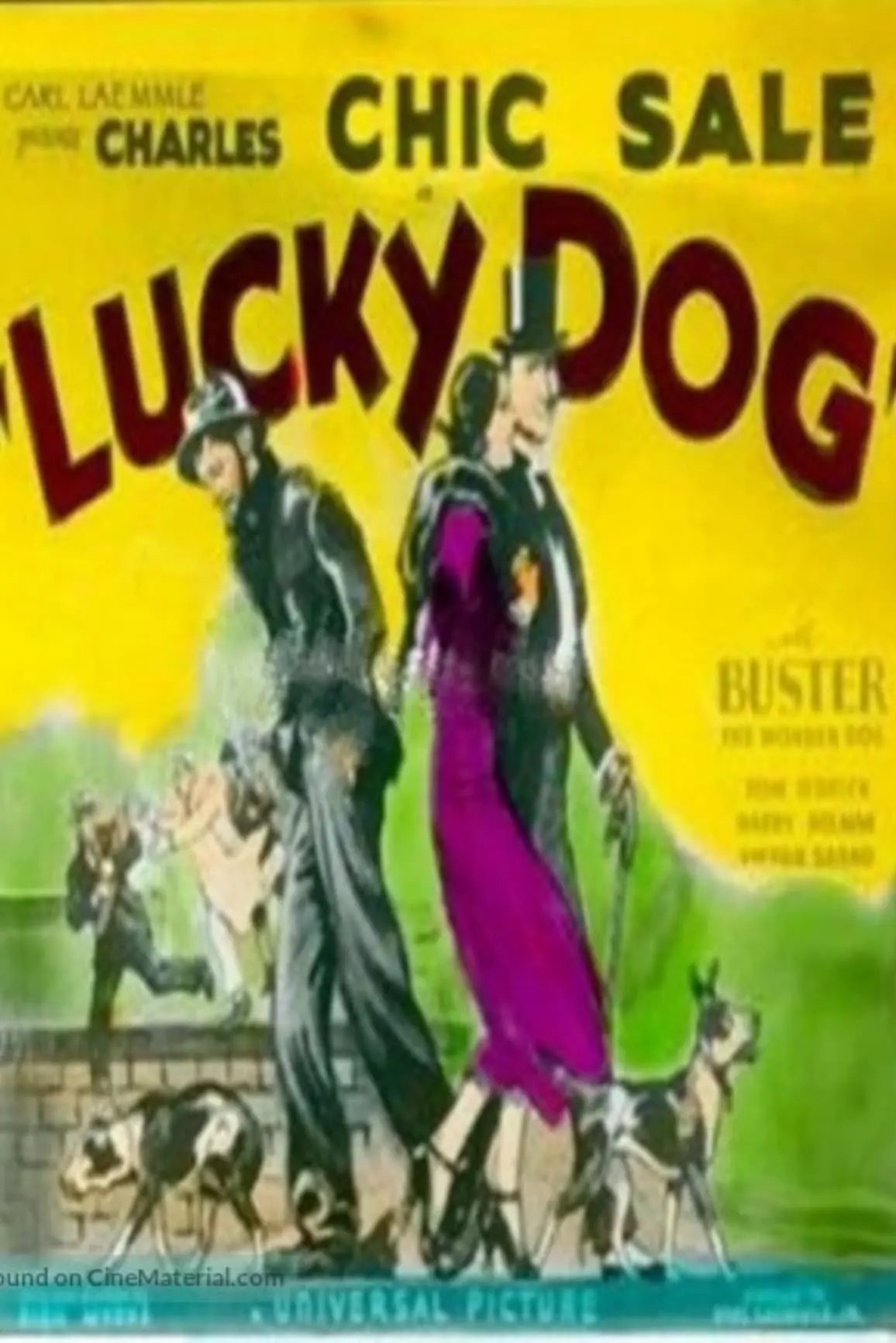Lucky Dog