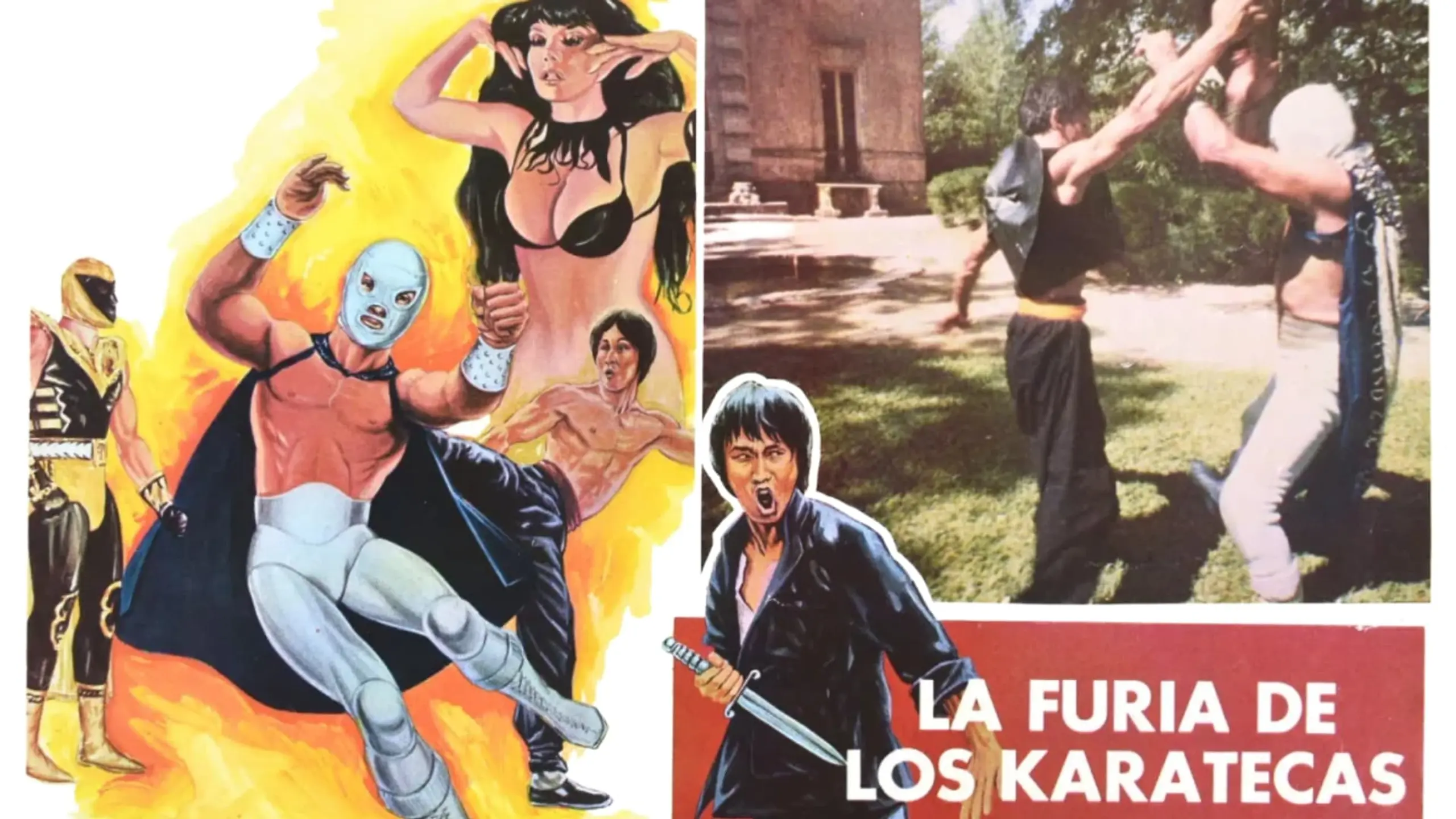 La Furia De Los Karatecas