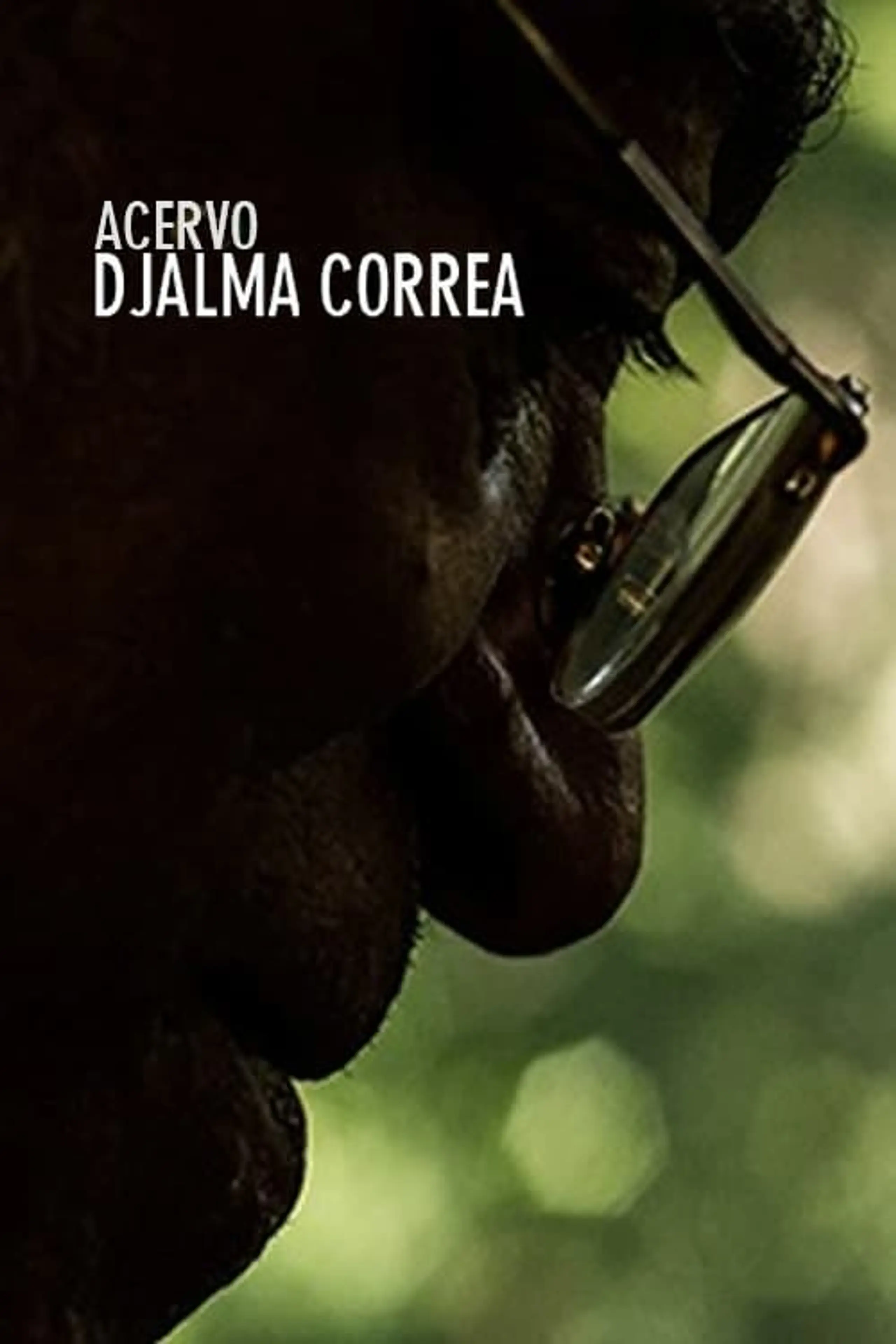 Acervo Djalma Corrêa