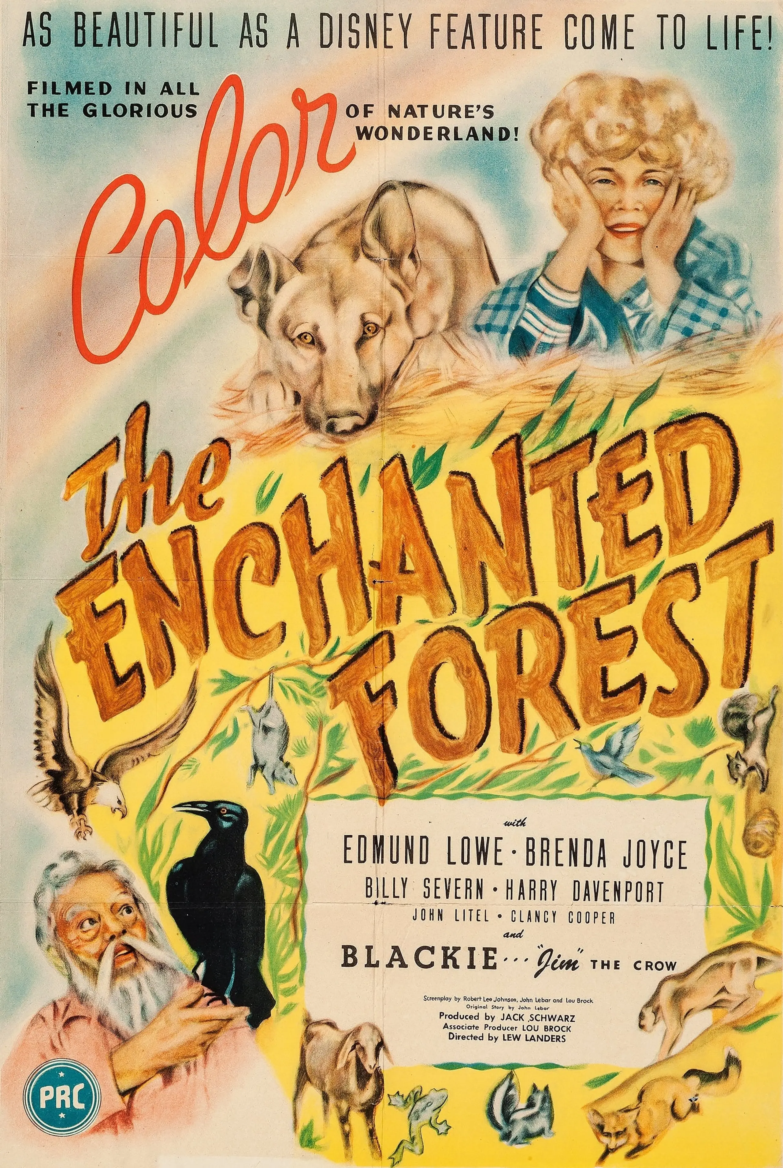 The Enchanted Forest