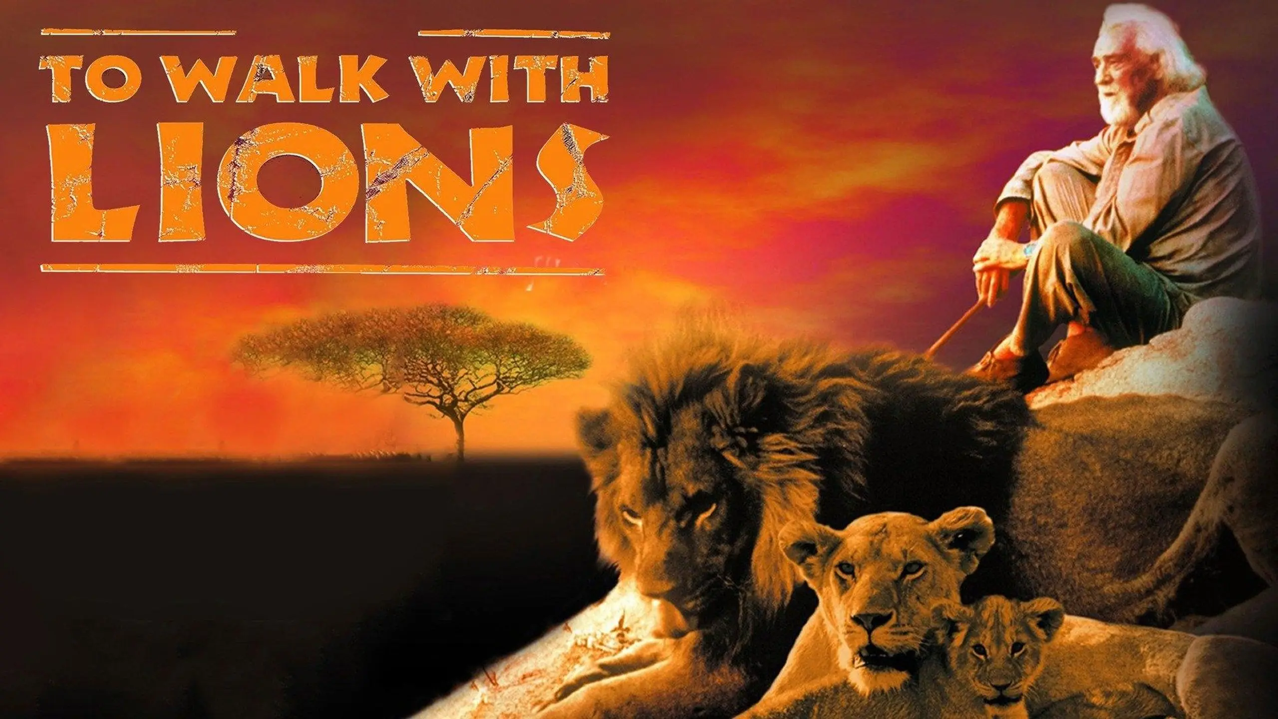 To walk with Lions - Jagd in Afrika