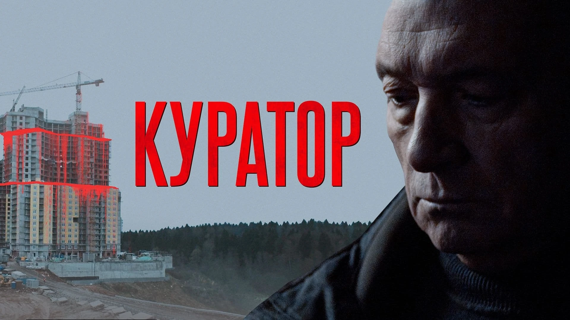 Куратор