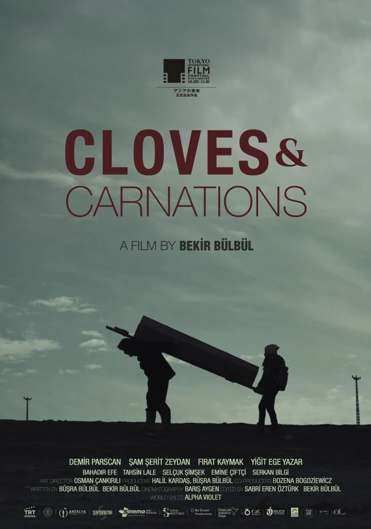 Cloves & Carnations