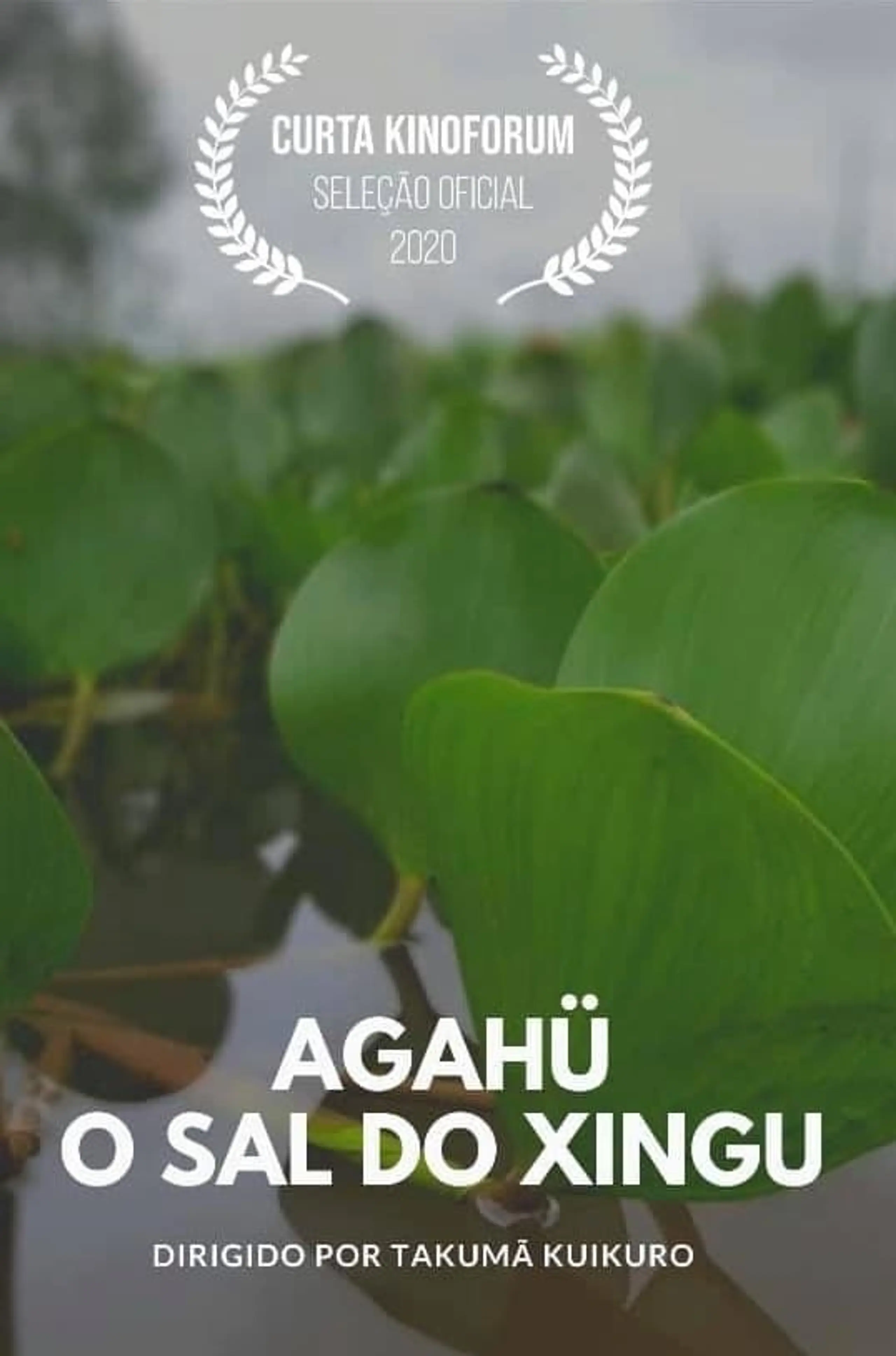 Agahü: O Sal do Xingu