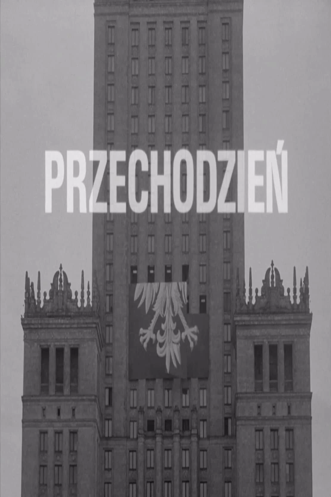 Przechodzień
