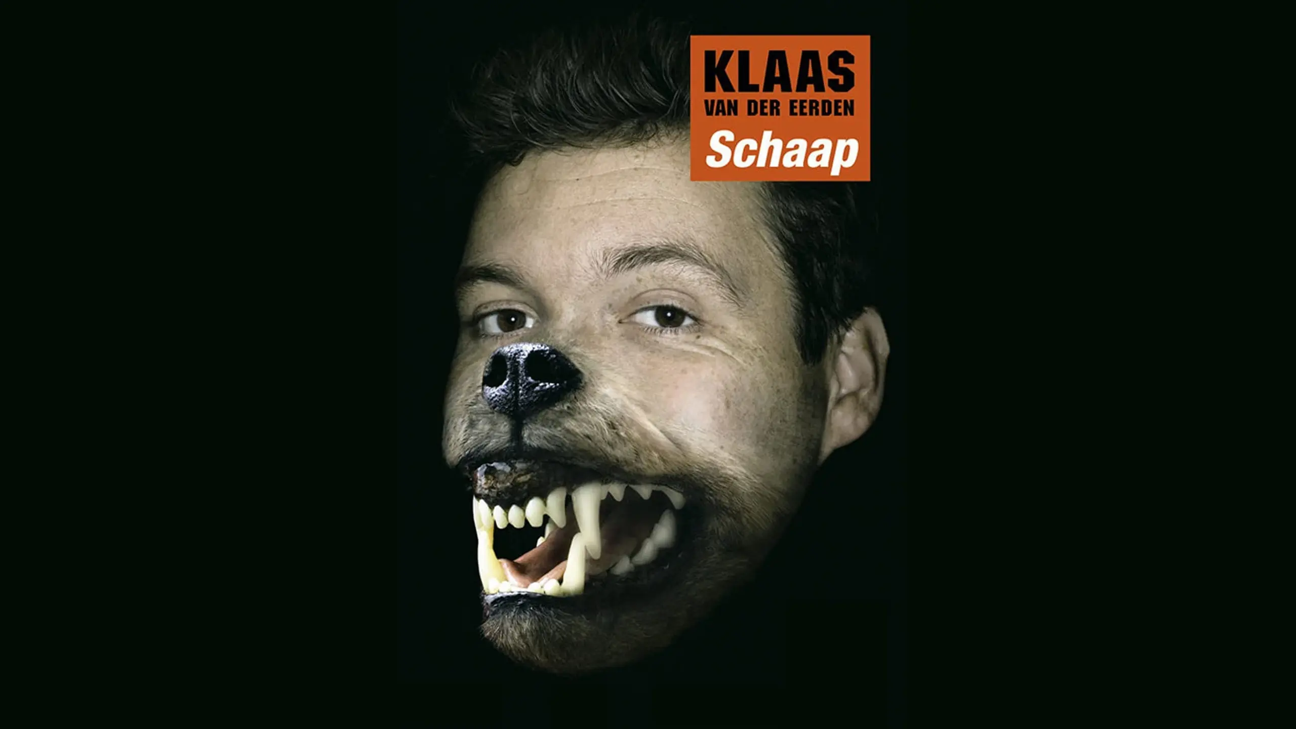 Klaas van der Eerden: Schaap