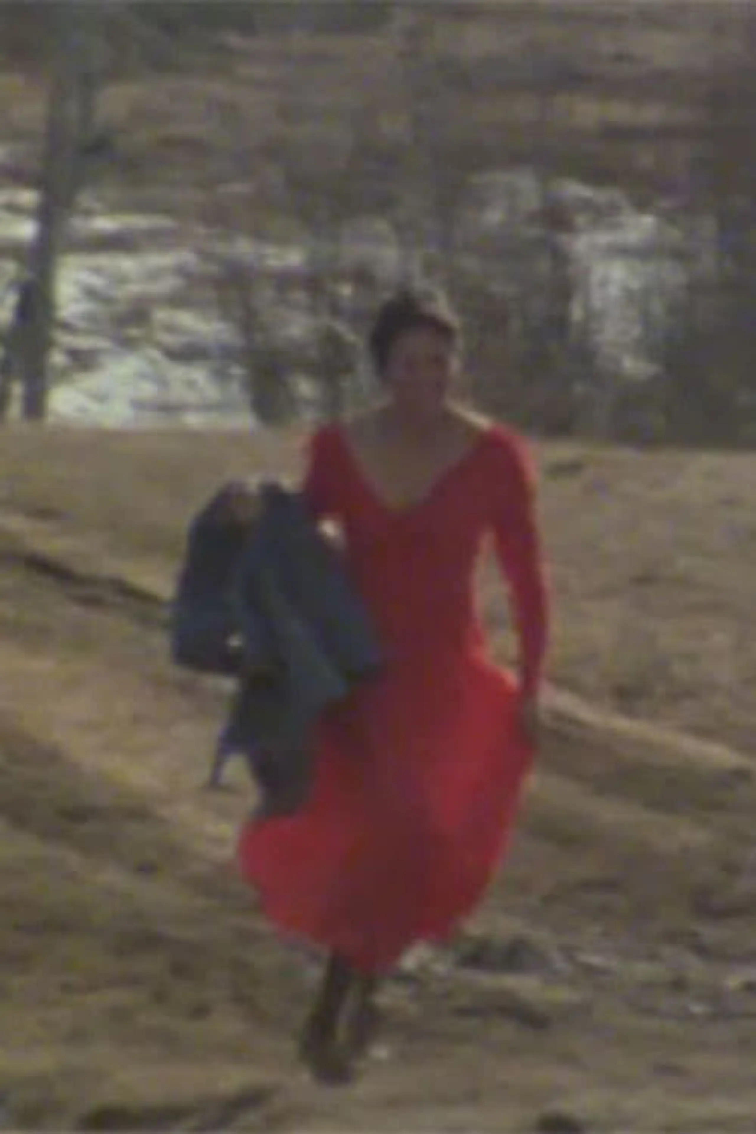 The Red Dress