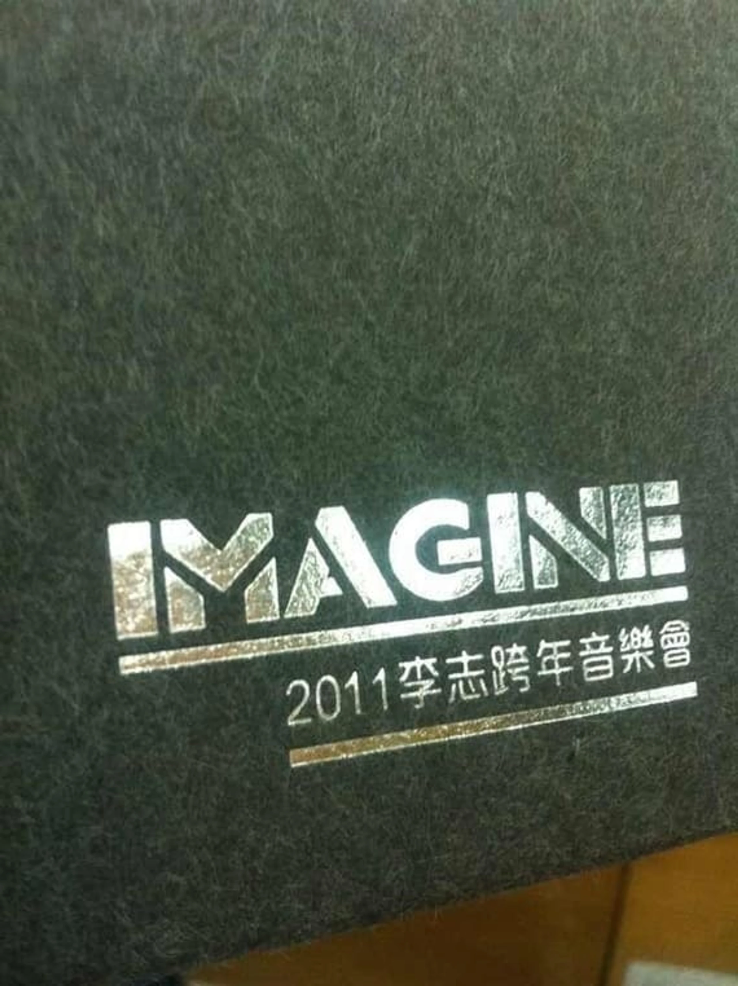 IMAGINE 李志2011跨年音乐会