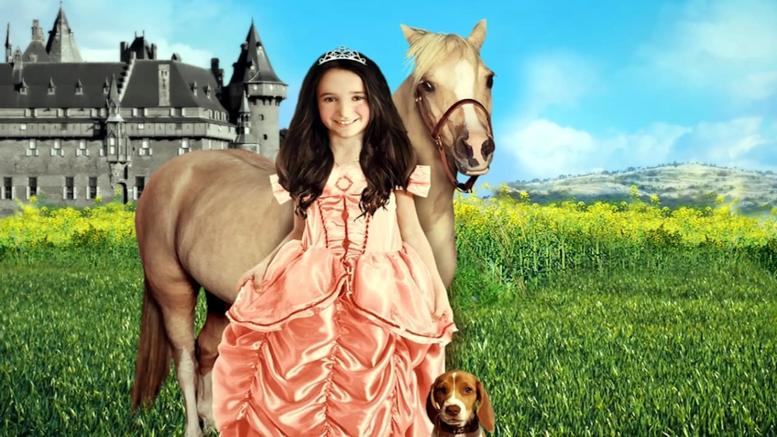 Die Prinzessin und das Pony