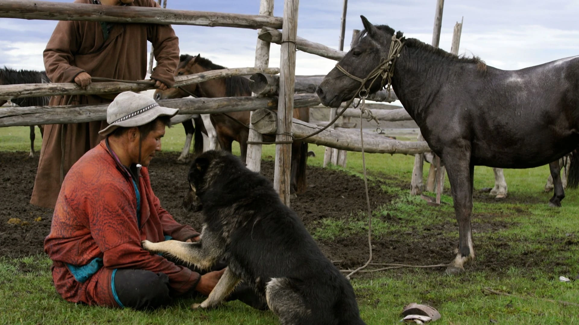 The Mongolian Horse Tamer