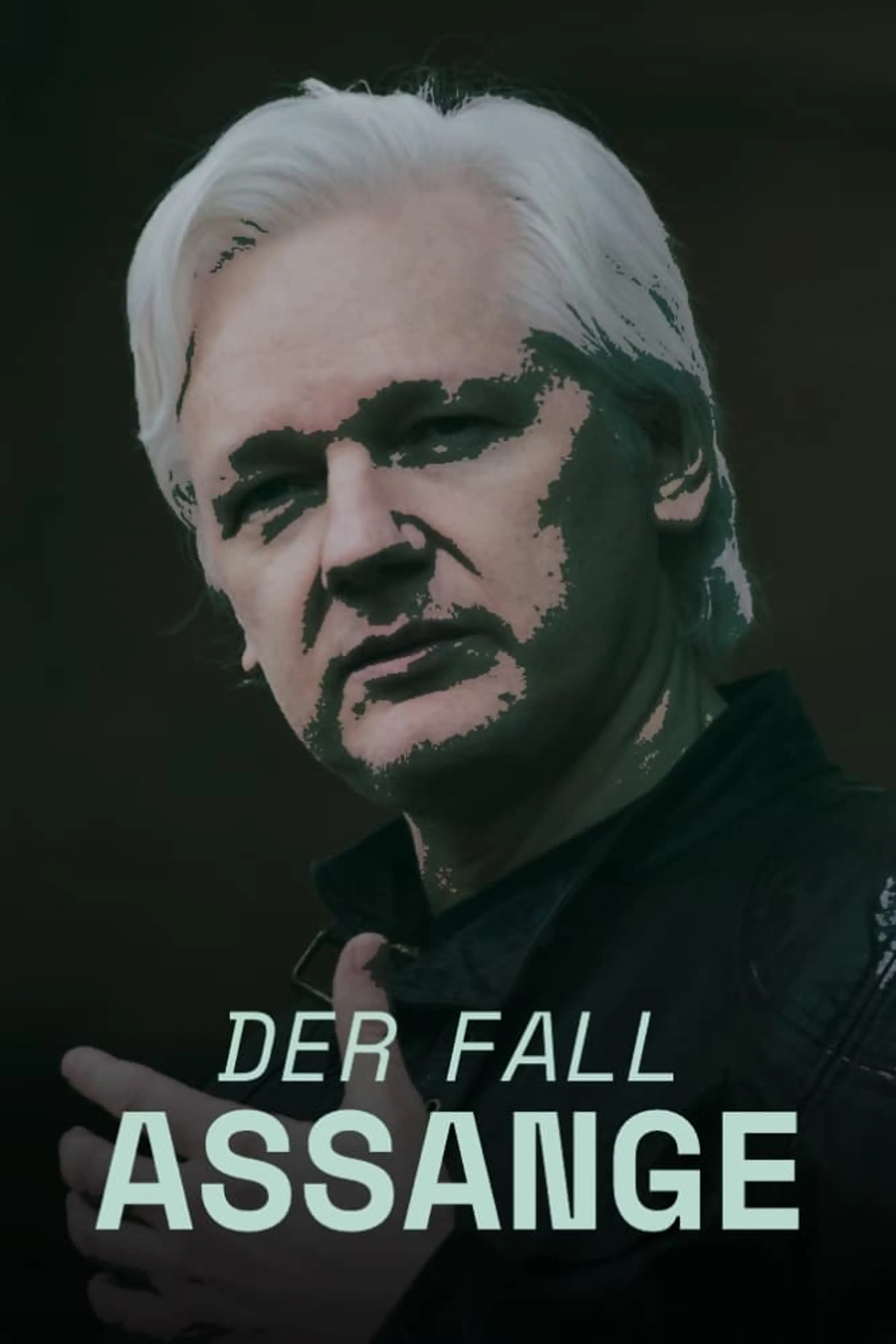 Der Fall Assange - Eine Chronik - Dokumentarfilm - 3Sat