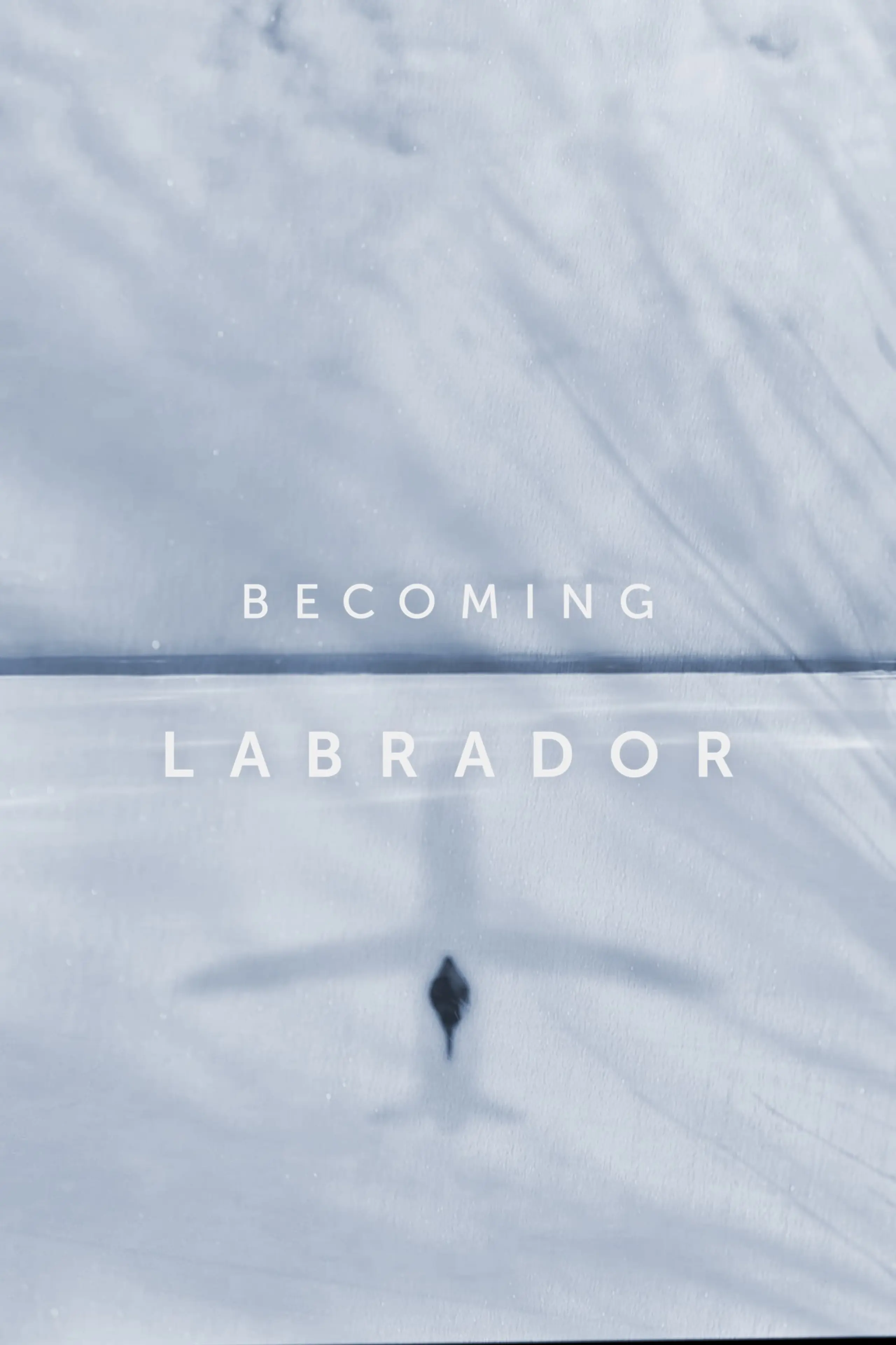 Becoming Labrador