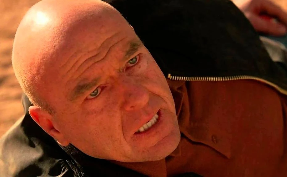 Hank aus Breaking Bad stirbt einen tragischen Tod