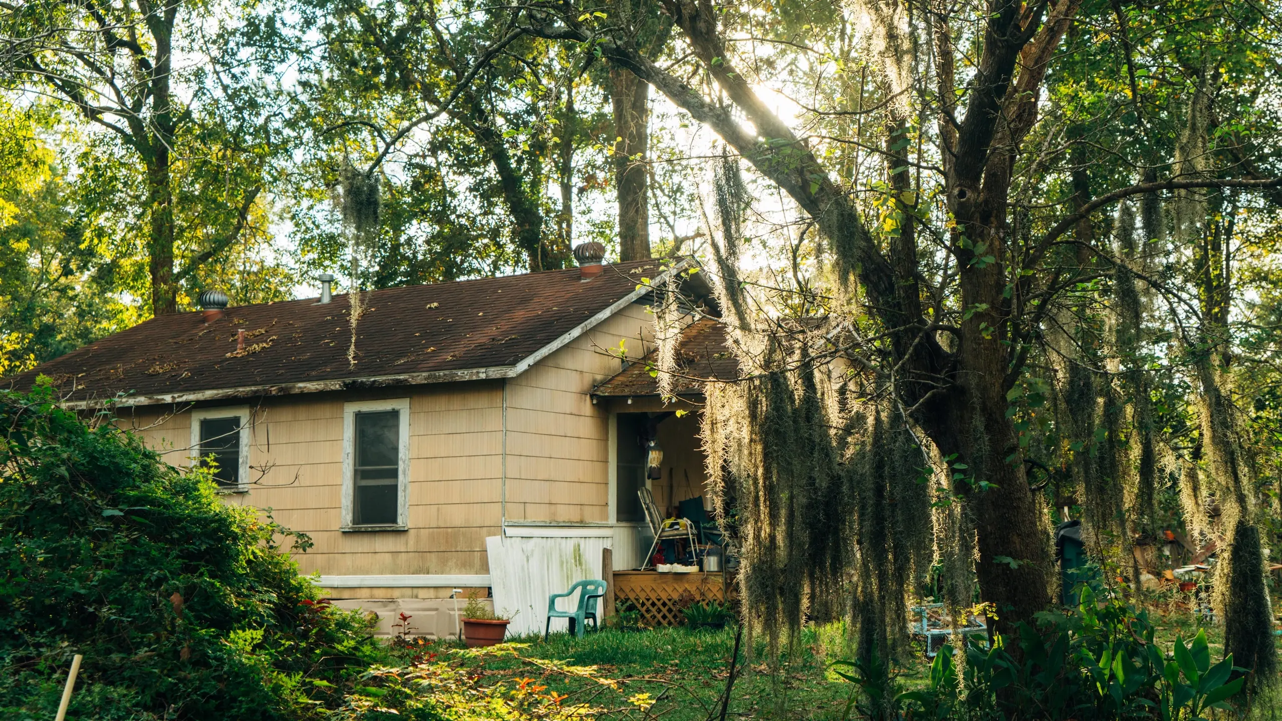 Mossville: When Great Trees Fall