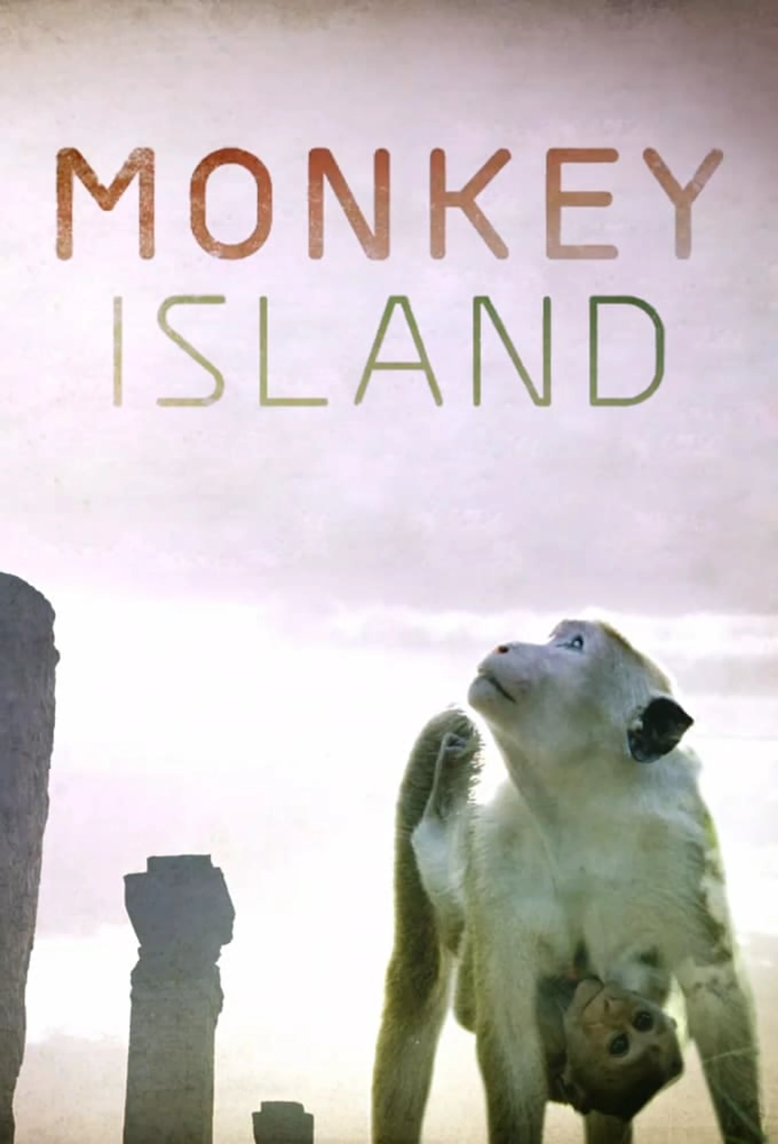 Donkey Island