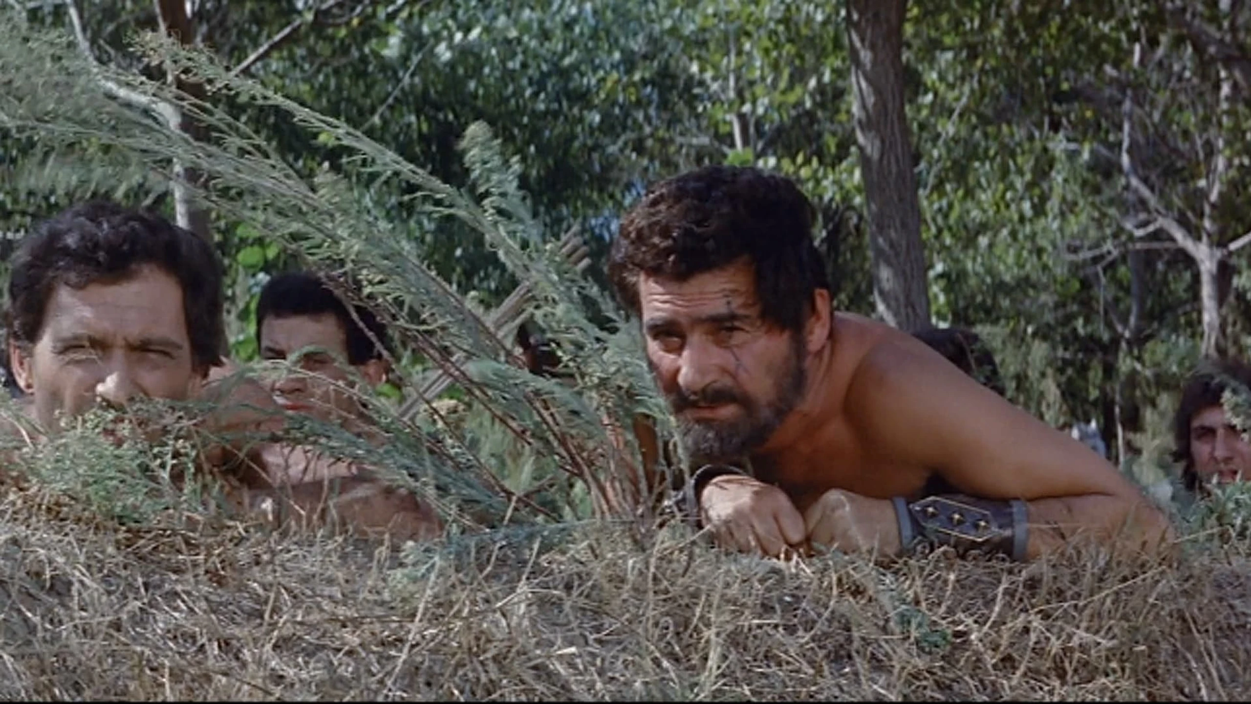 Herkules, der Held von Karthago