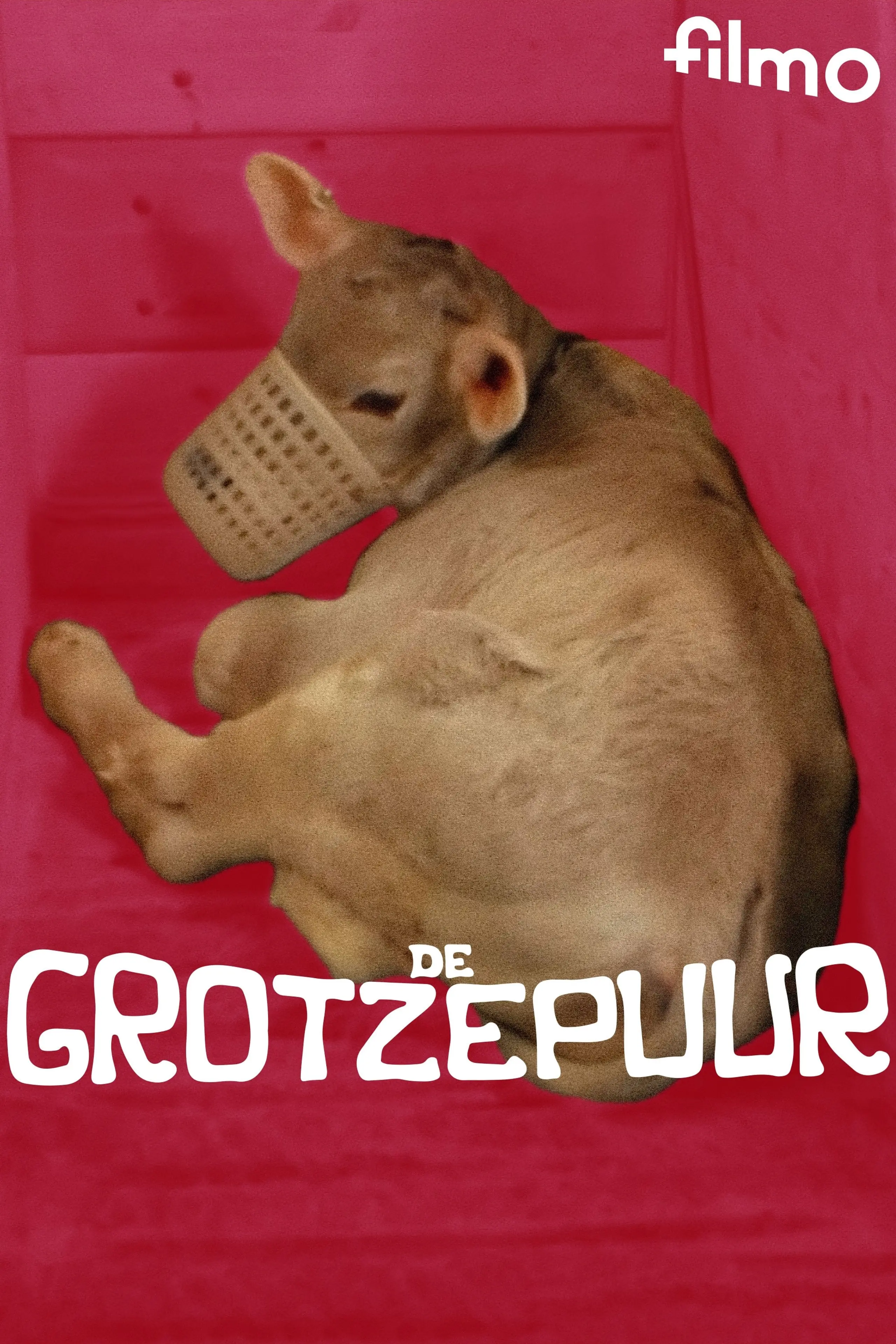 De grotzepuur