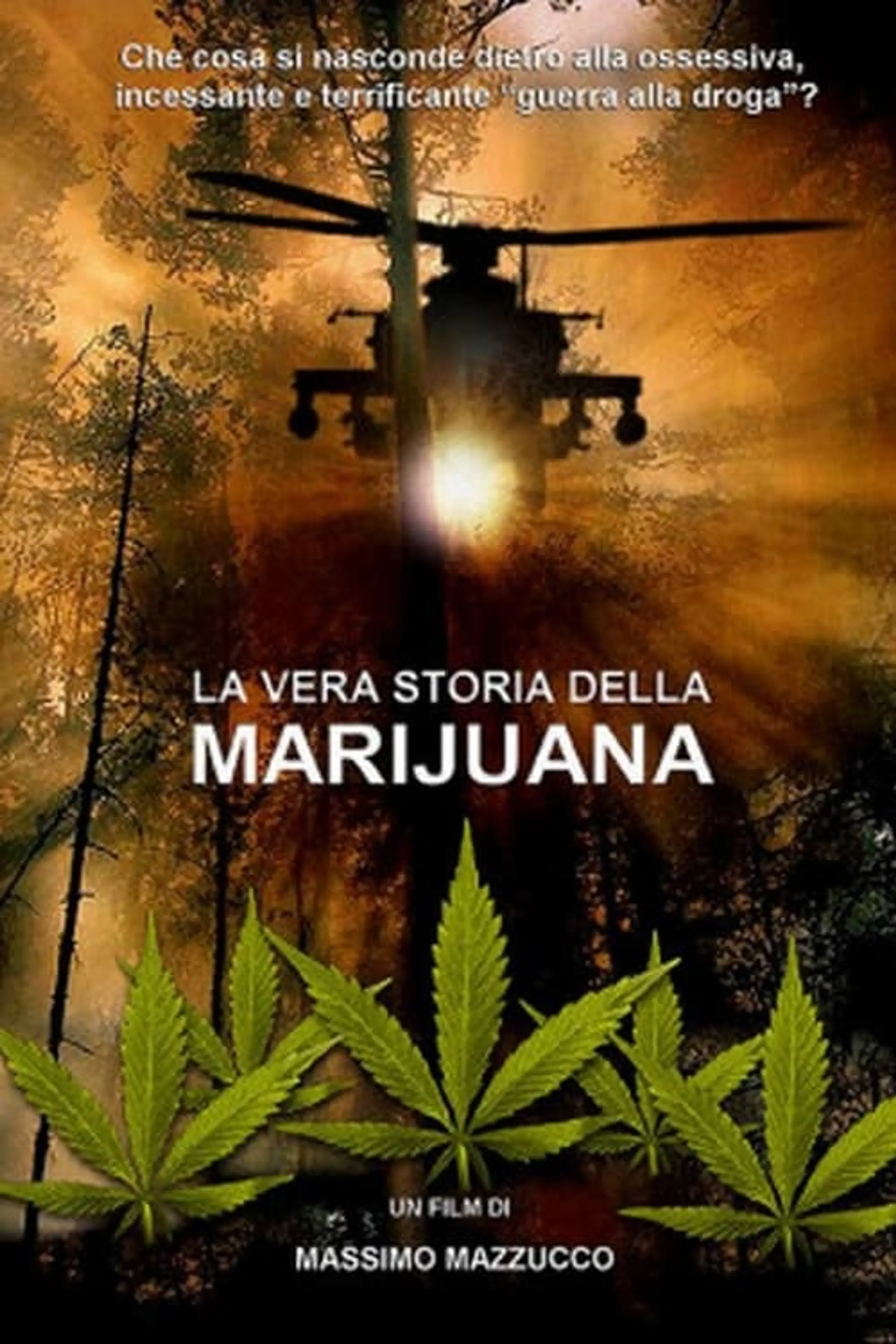 The True History of Marijuana