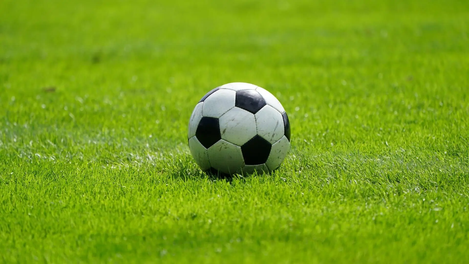 UEFA EURO 2025 Frauen Qualifikation: Österreich - Polen