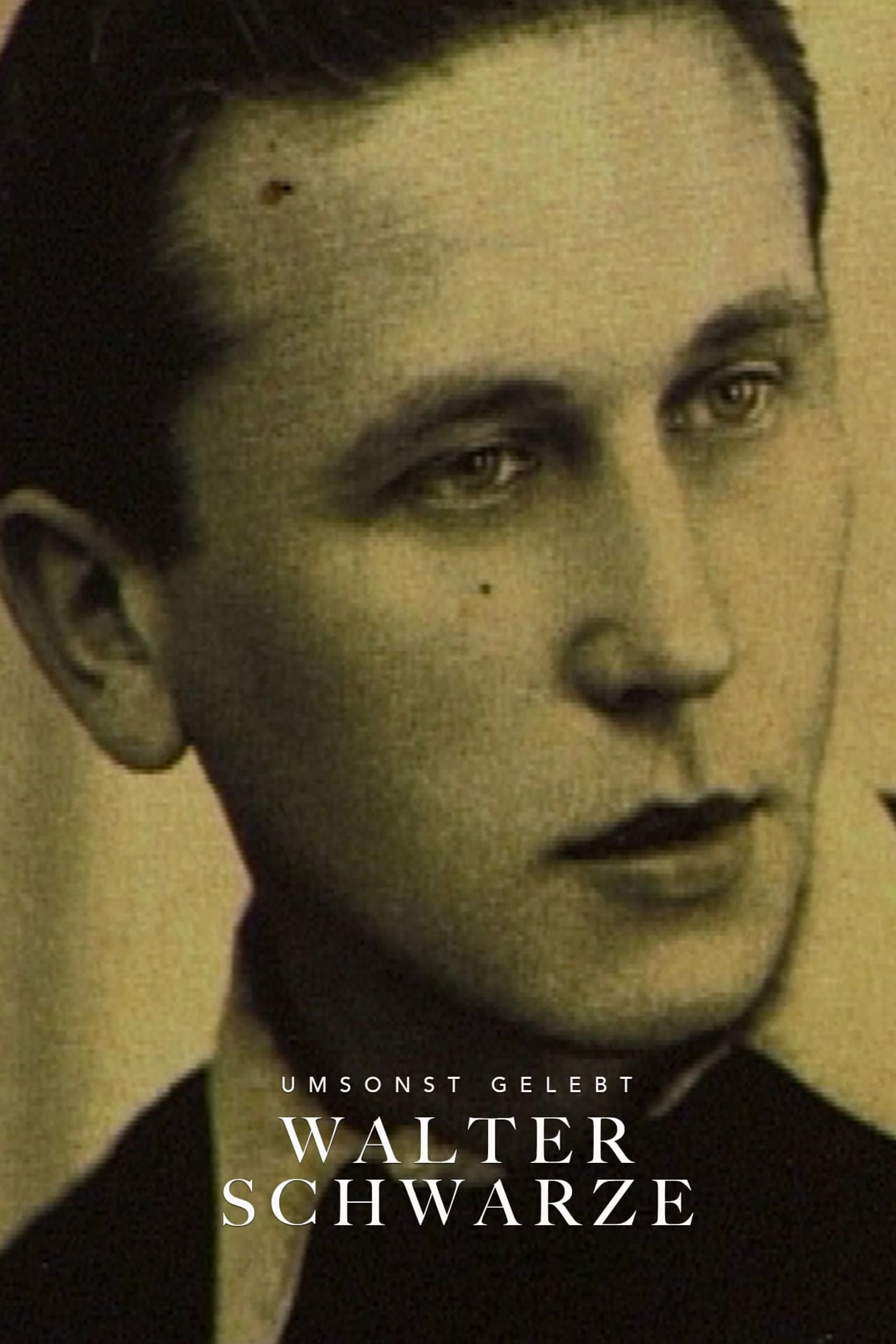 Umsonst gelebt – Walter Schwarze