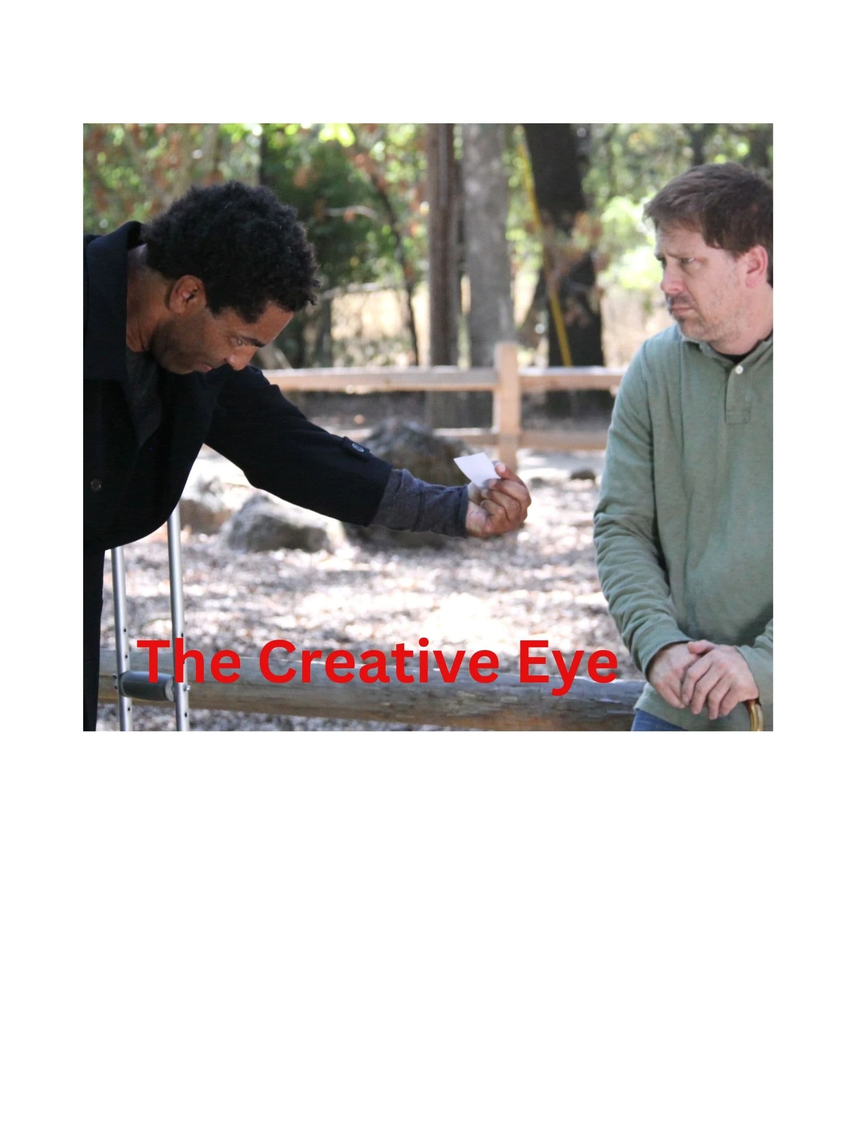 The Creative Eye