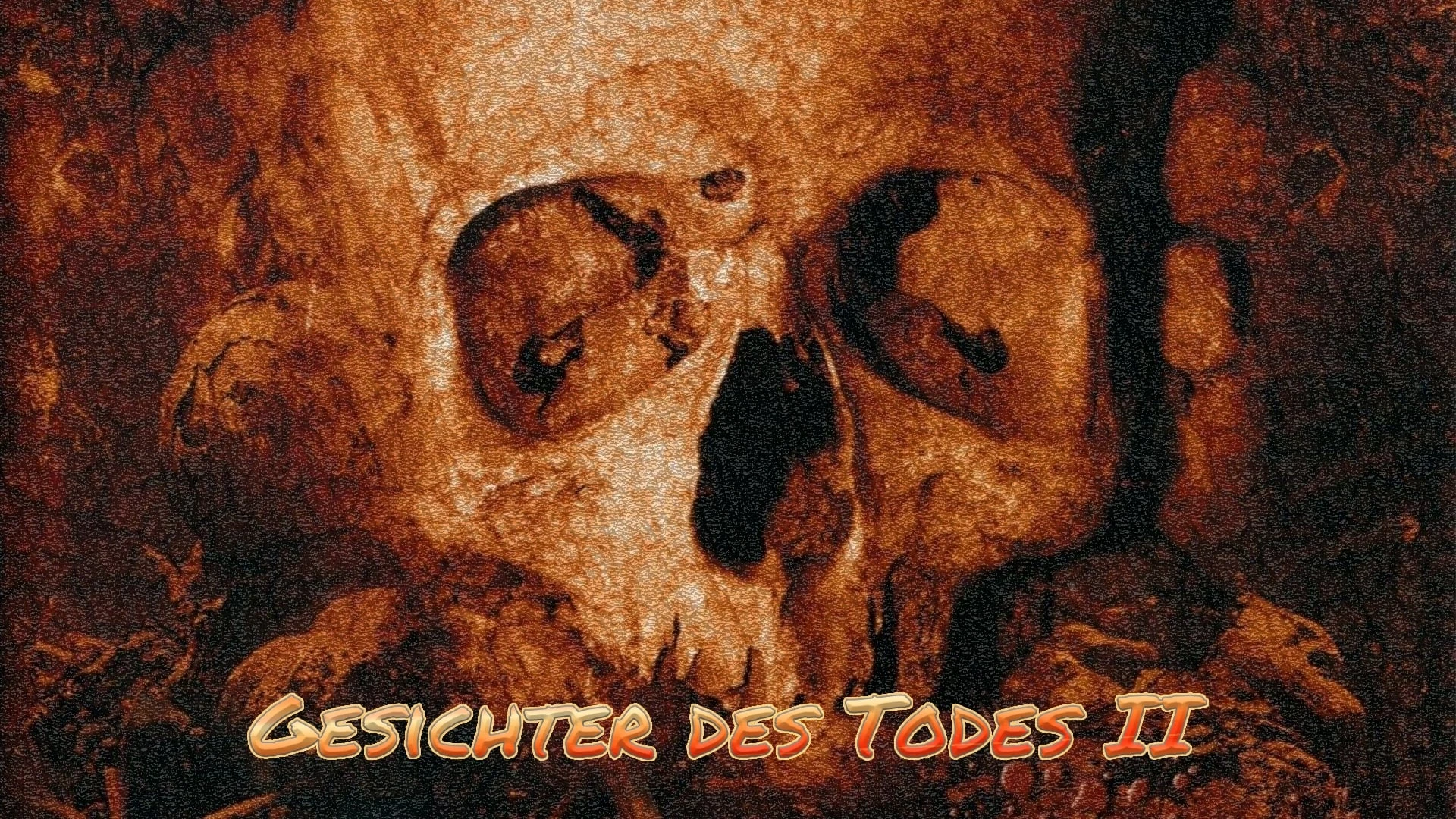 Gesichter des Todes II