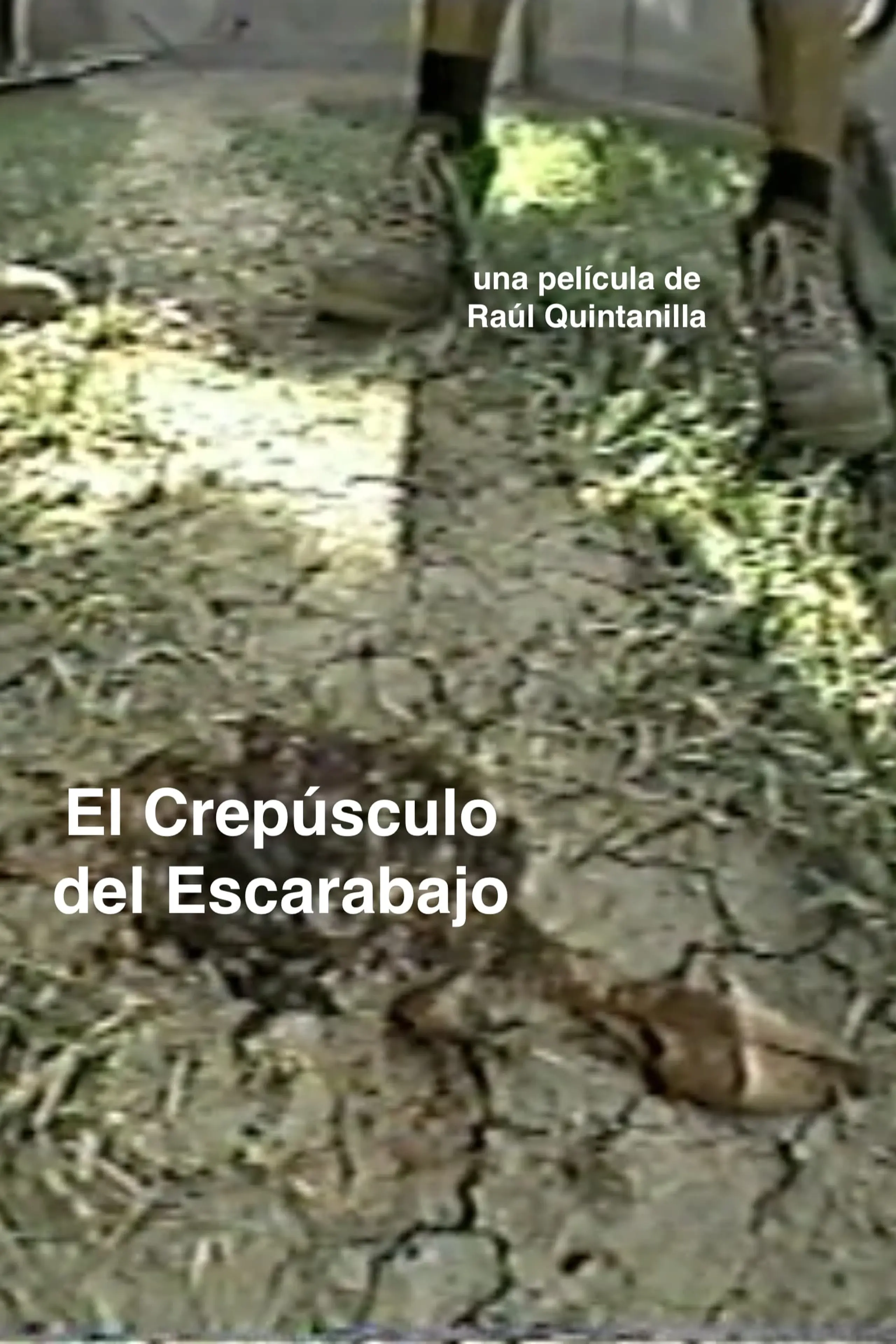 El Crepúsculo del Escarabajo